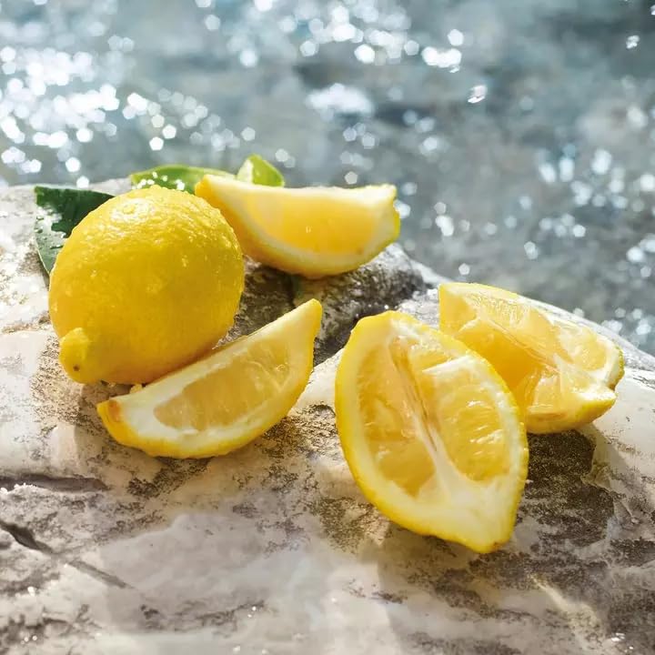 Dg Light Blue 0.85 L Italy 64pcs Bybox EDT - Thumbnail 3