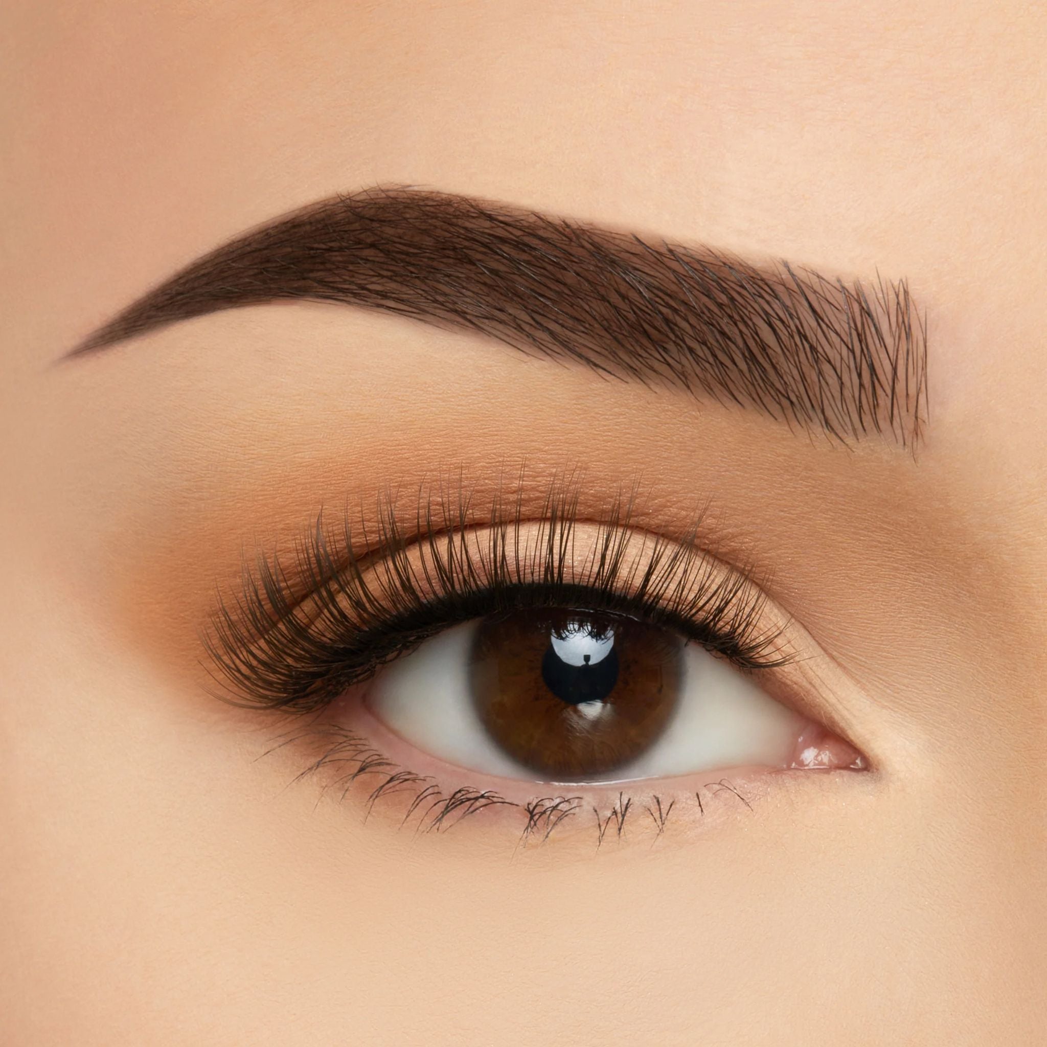 (10-pack) Silk Lash by BEAUTY CREATIONS COSMETICS - Thumbnail 3