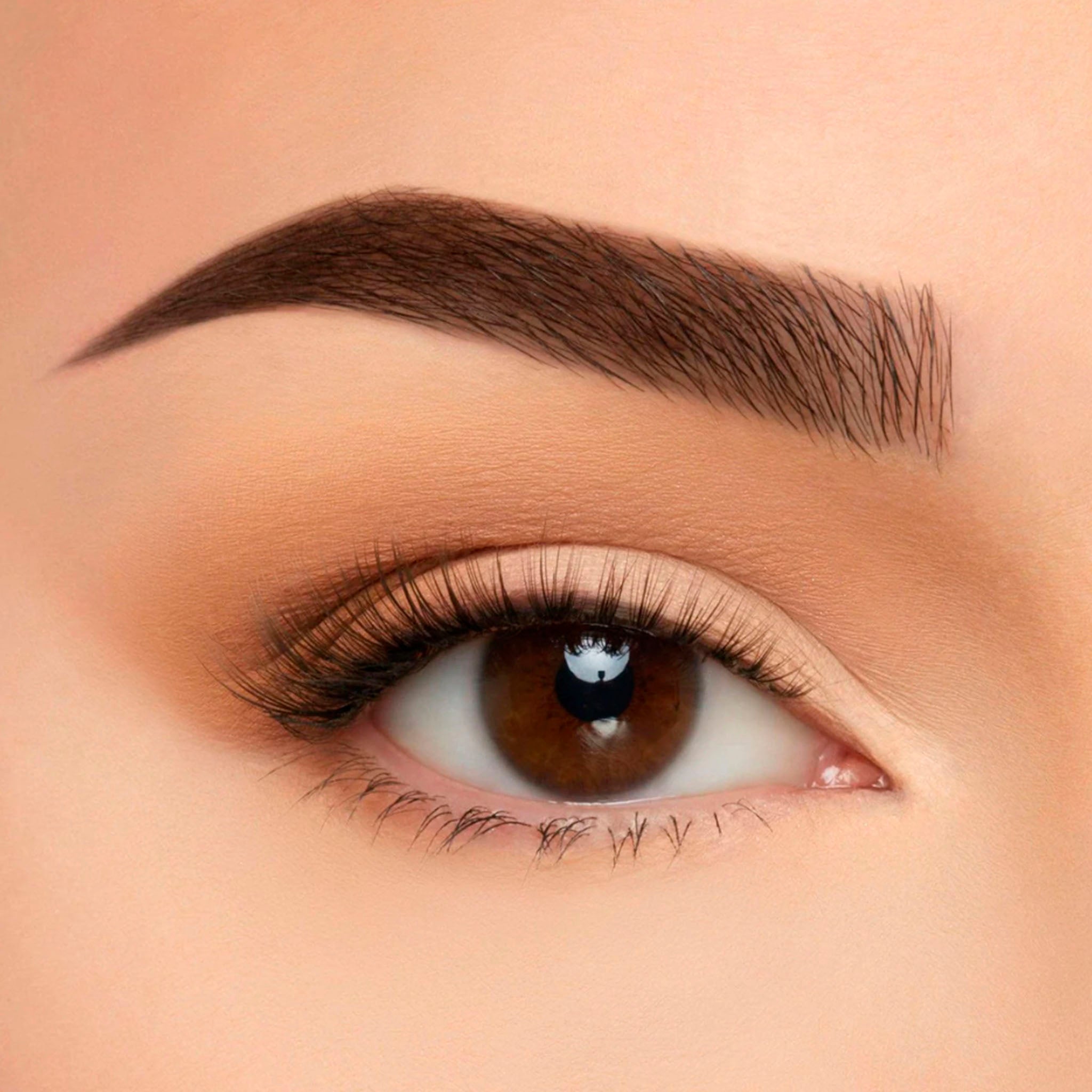 (10-pack) Silk Lash by BEAUTY CREATIONS COSMETICS - Thumbnail 2