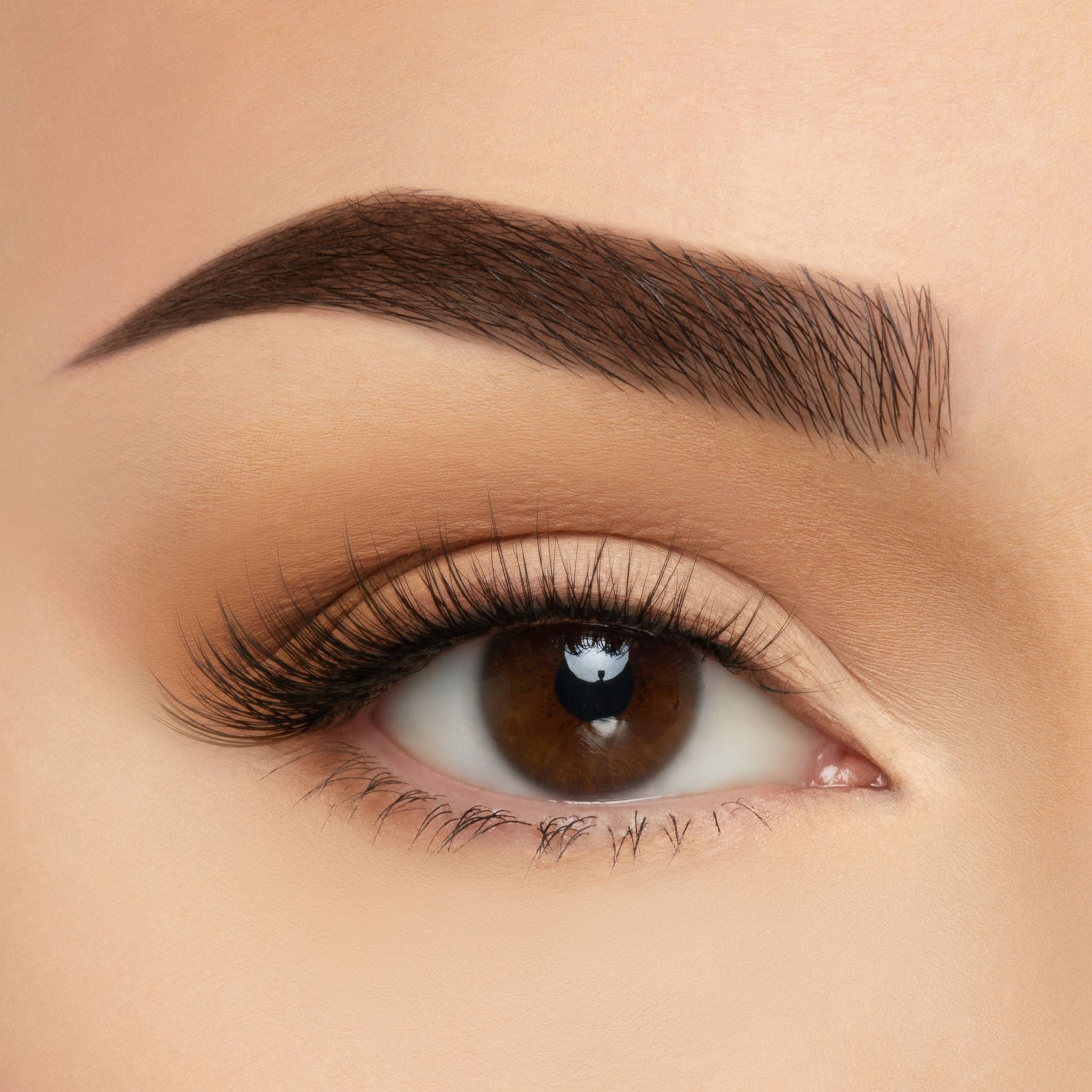 (10-pack) Silk Lash by BEAUTY CREATIONS COSMETICS - Thumbnail 3