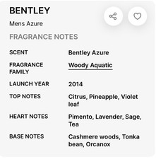 [Tester] Bentley Azure 3.4 M Tst France 23pcs Bybox EDT - Thumbnail 3