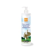 Ever Ego Impacego Garlic Shampoo / 16.9fl Oz 500 ml
