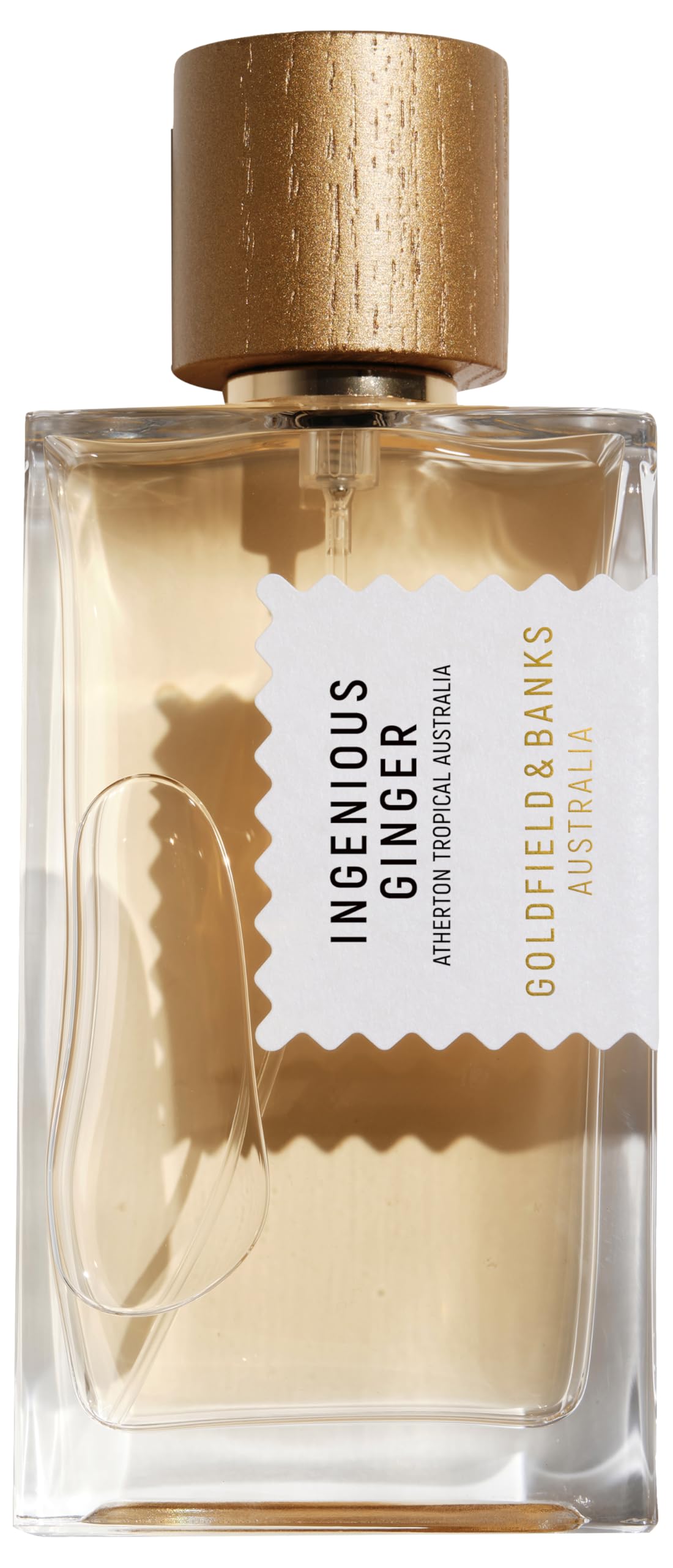 Ingenious Ginger 100 ml