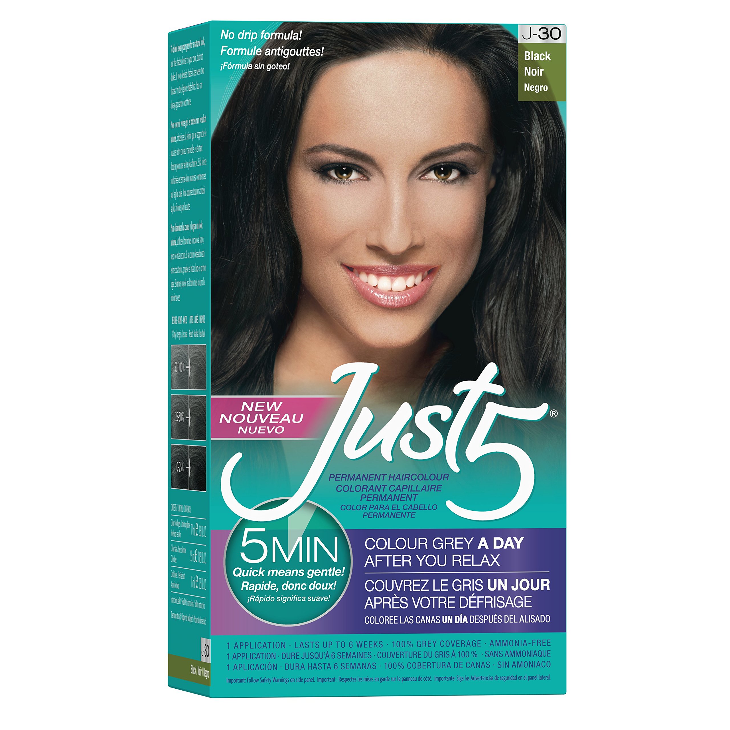 Just 5 5 Minute Permanent Hair Color With Conditioner Grey Hair Coloring Black