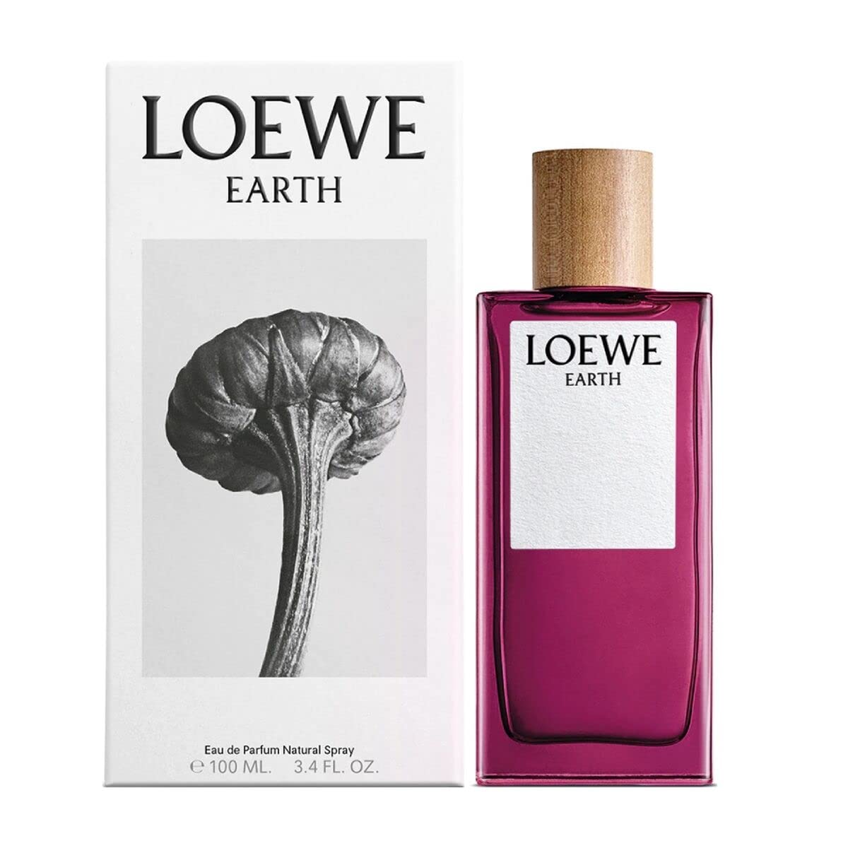Loewe Earth 3.4 Fl. Oz EDP