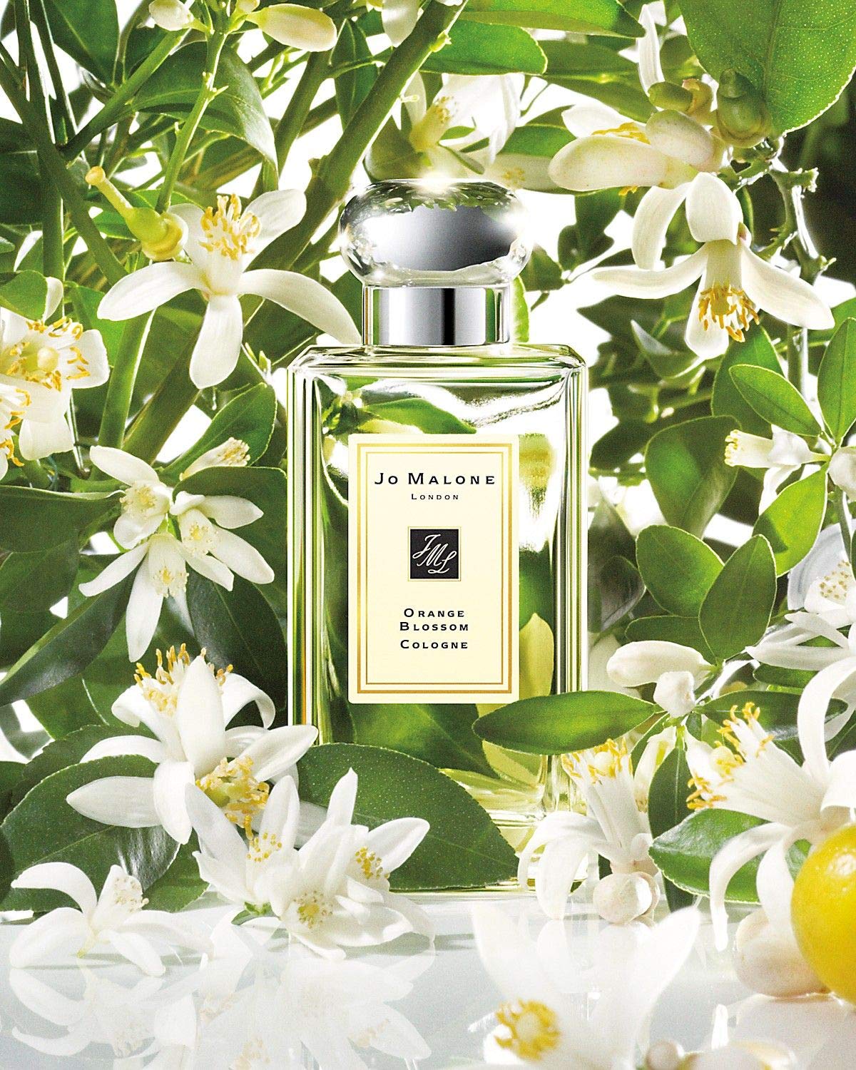 Jo Malone Orange Blossom Cologne / 100 ml (3.4 oz)