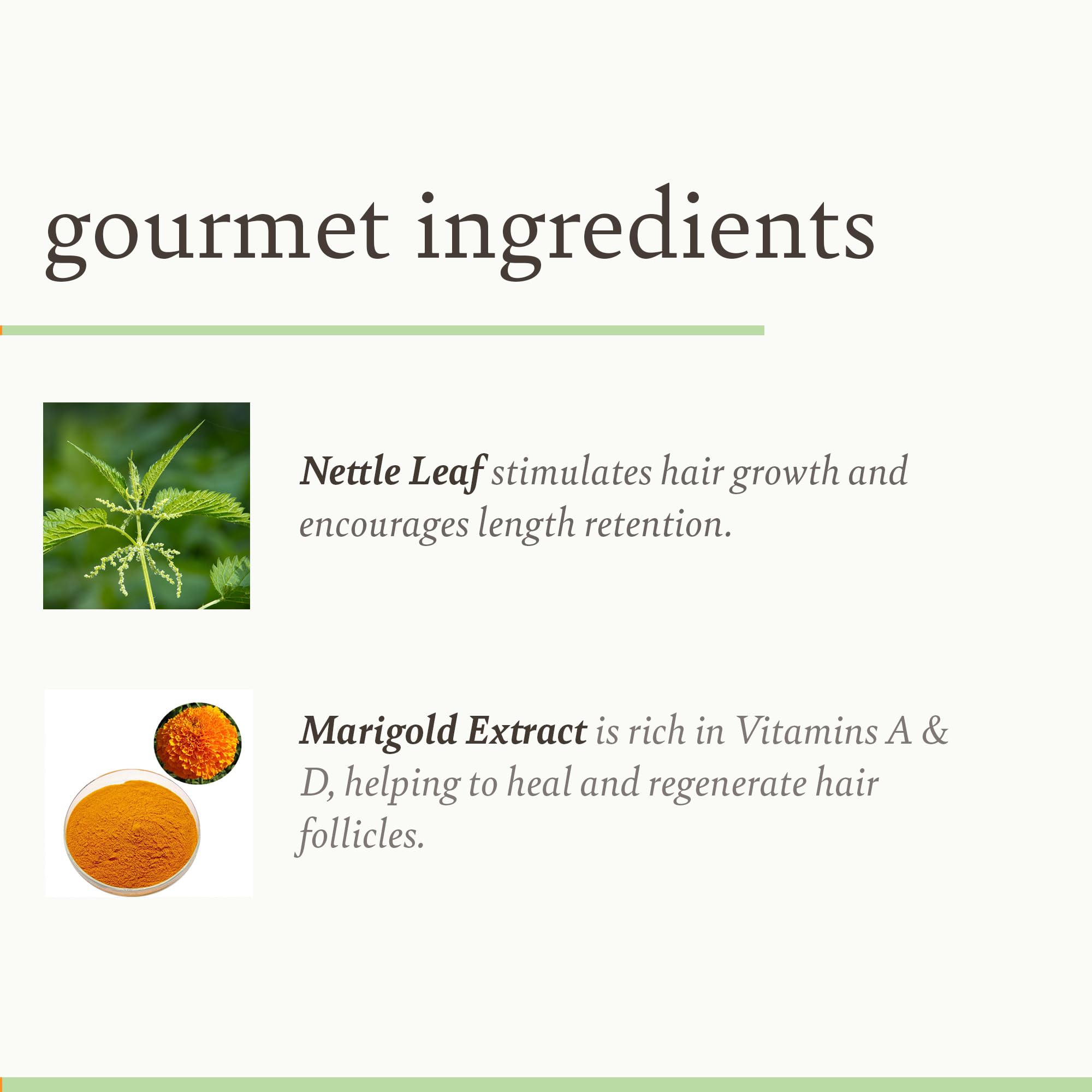 Camille Rose Herbal Tea Leave In Hair Oil With Jojoba and Lavender To Seal - Thumbnail 2