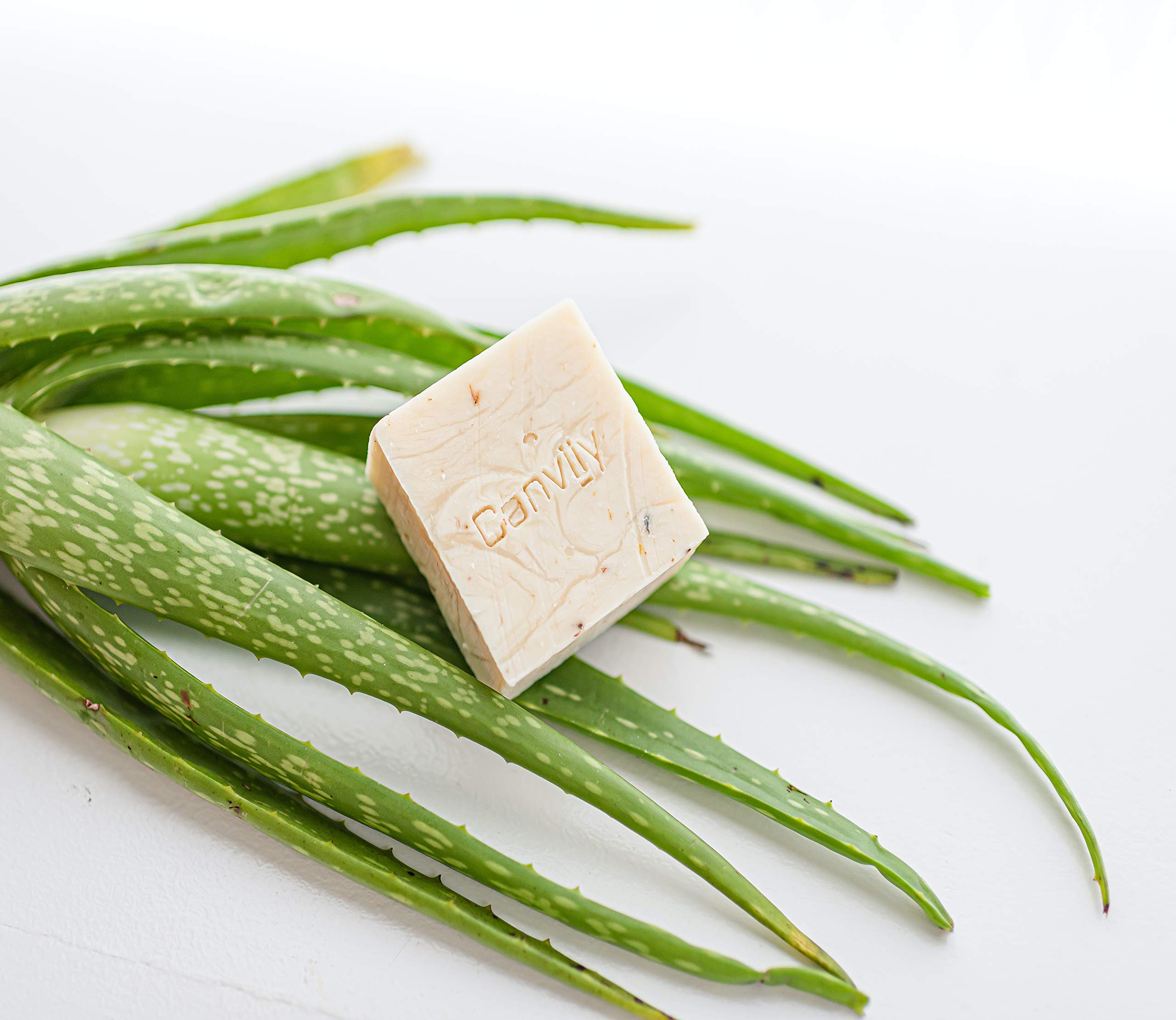 Canviiy 3 In 1 Purifying Nourish + Calm Natural Cleansing Bar Infused With - Thumbnail 2