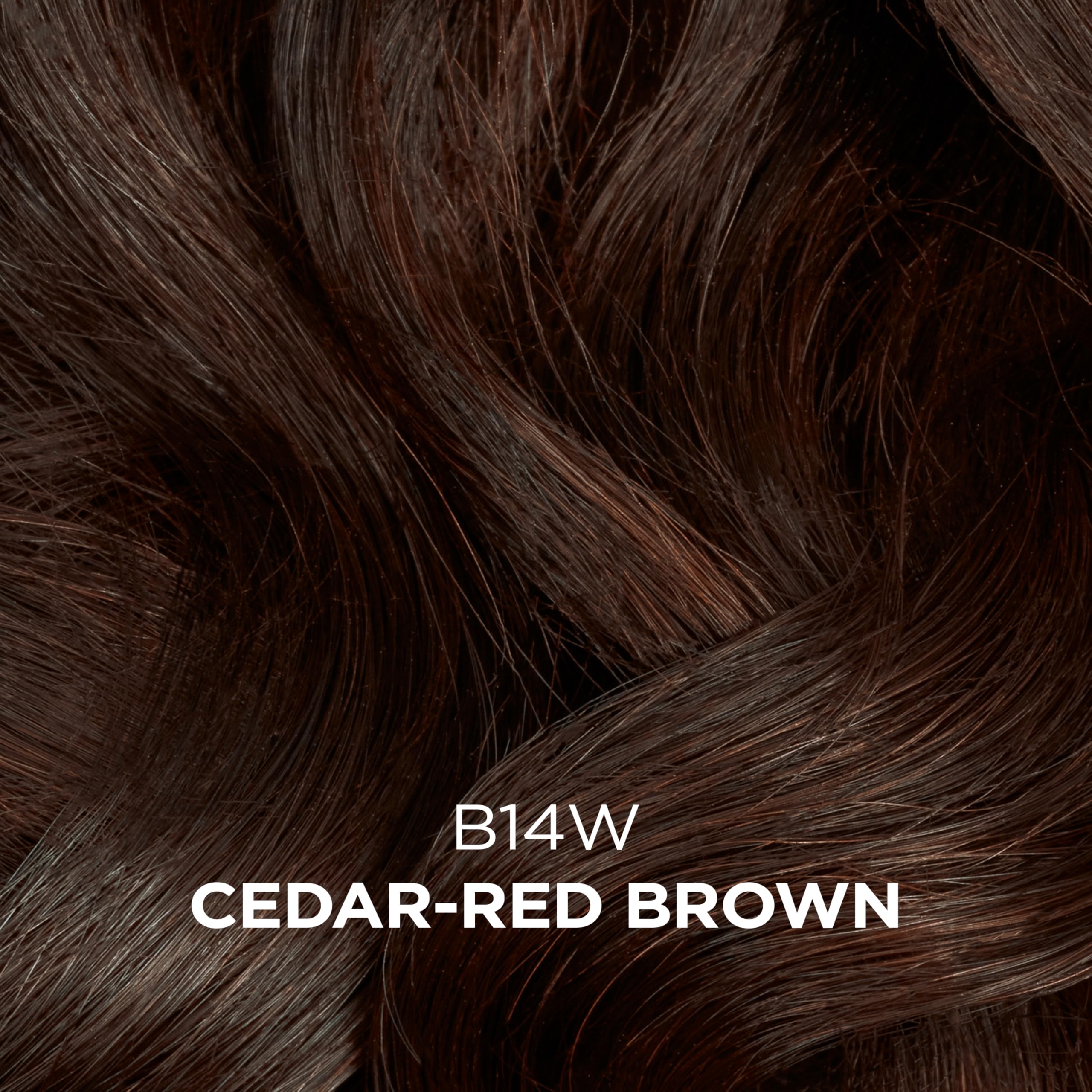 Clairol Professional Beautiful Collection Hair Color 14w Cedar Red Brown . - Thumbnail 3