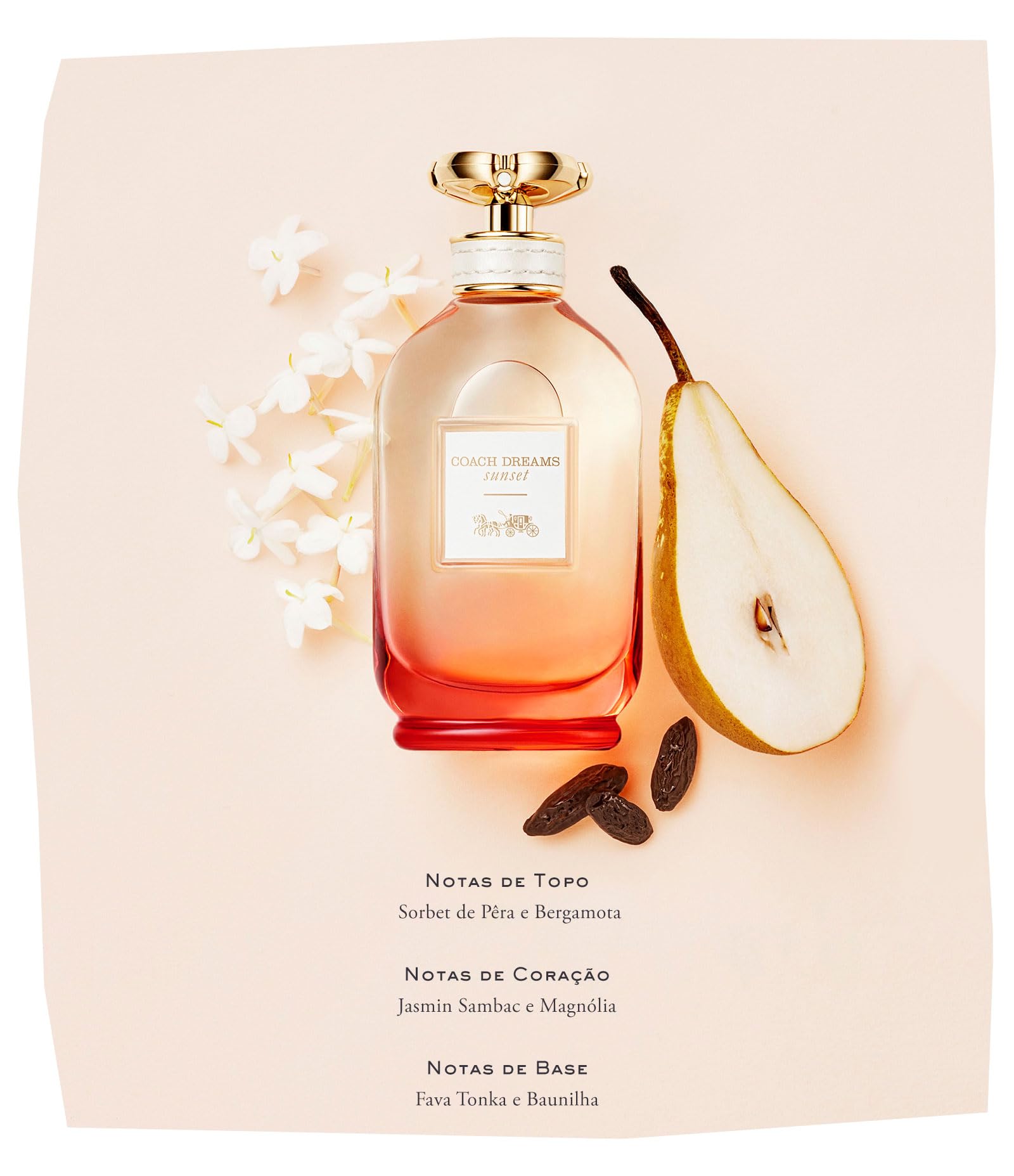 Coach Ladies Dreams Sunset For Women EDP 3 oz (Set) - Thumbnail 2