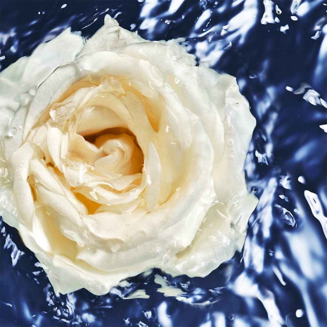 Cool Water Oceanic Edition 3.3 L Switzerland 24pcs Bybox EDC - Thumbnail 3