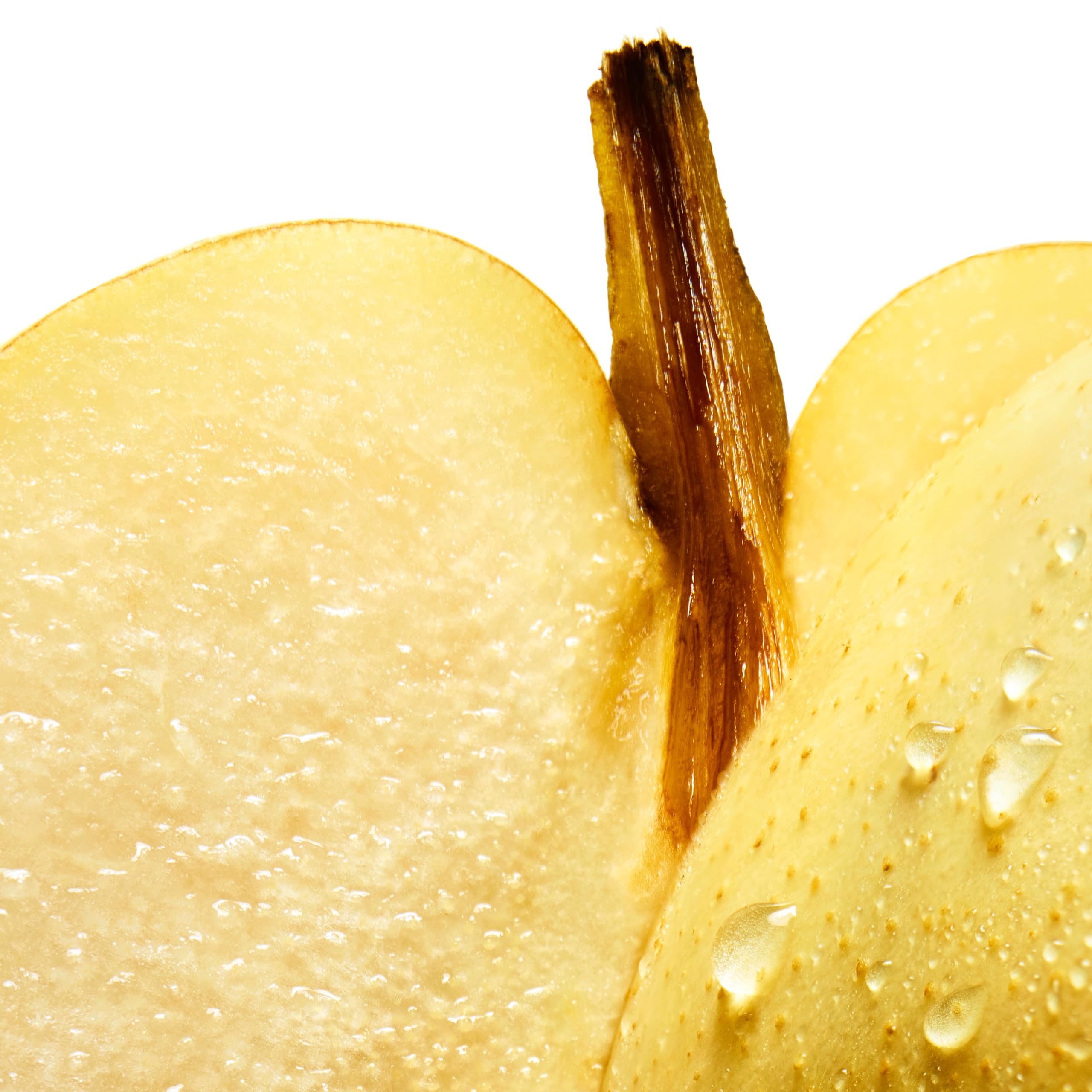 Cool Water Sea Rose 3.4 L France 24pcs Bybox EDT - Thumbnail 2