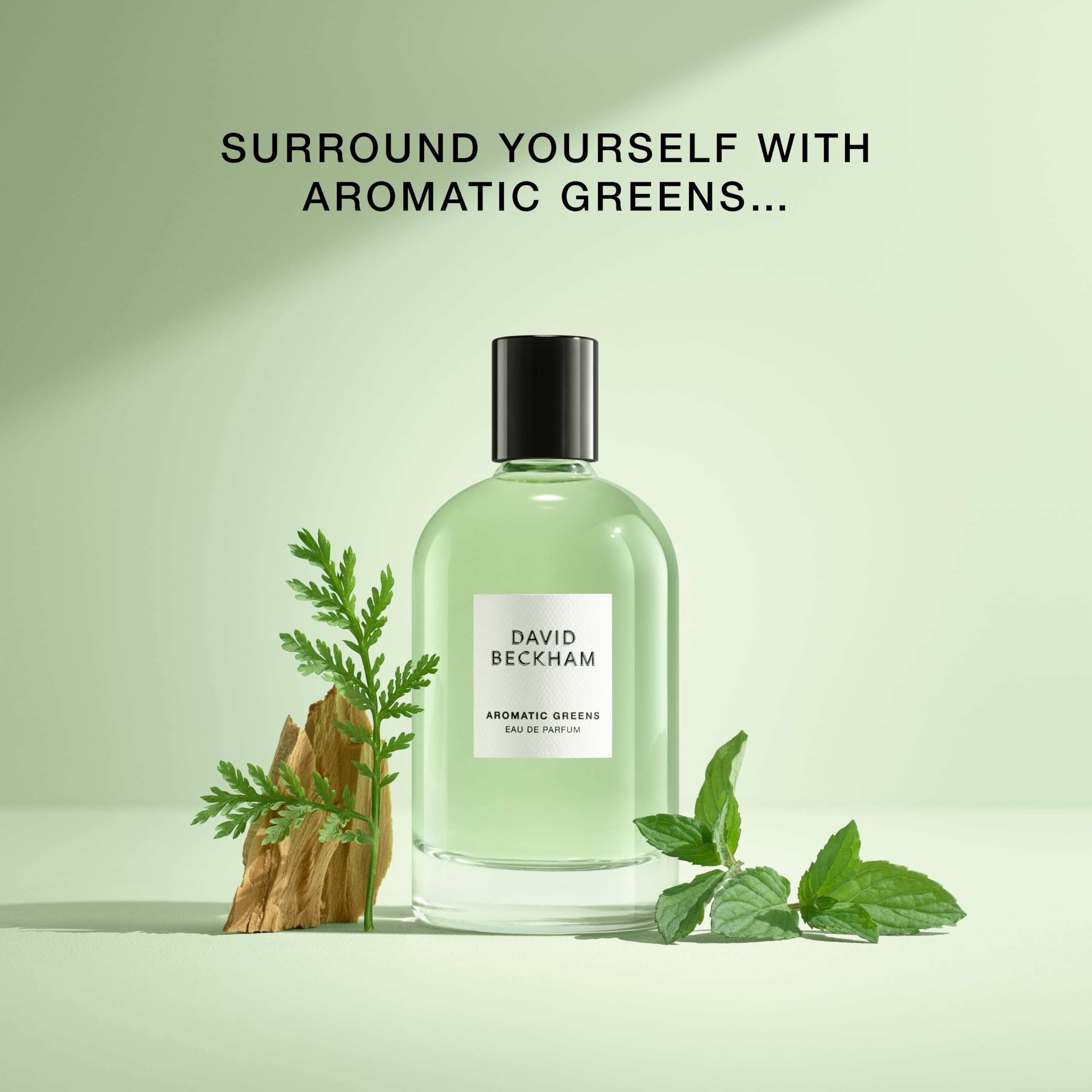 David Beckham Aromatic Greens 3.3 Fl Oz Notes of Lemon Green Apple and