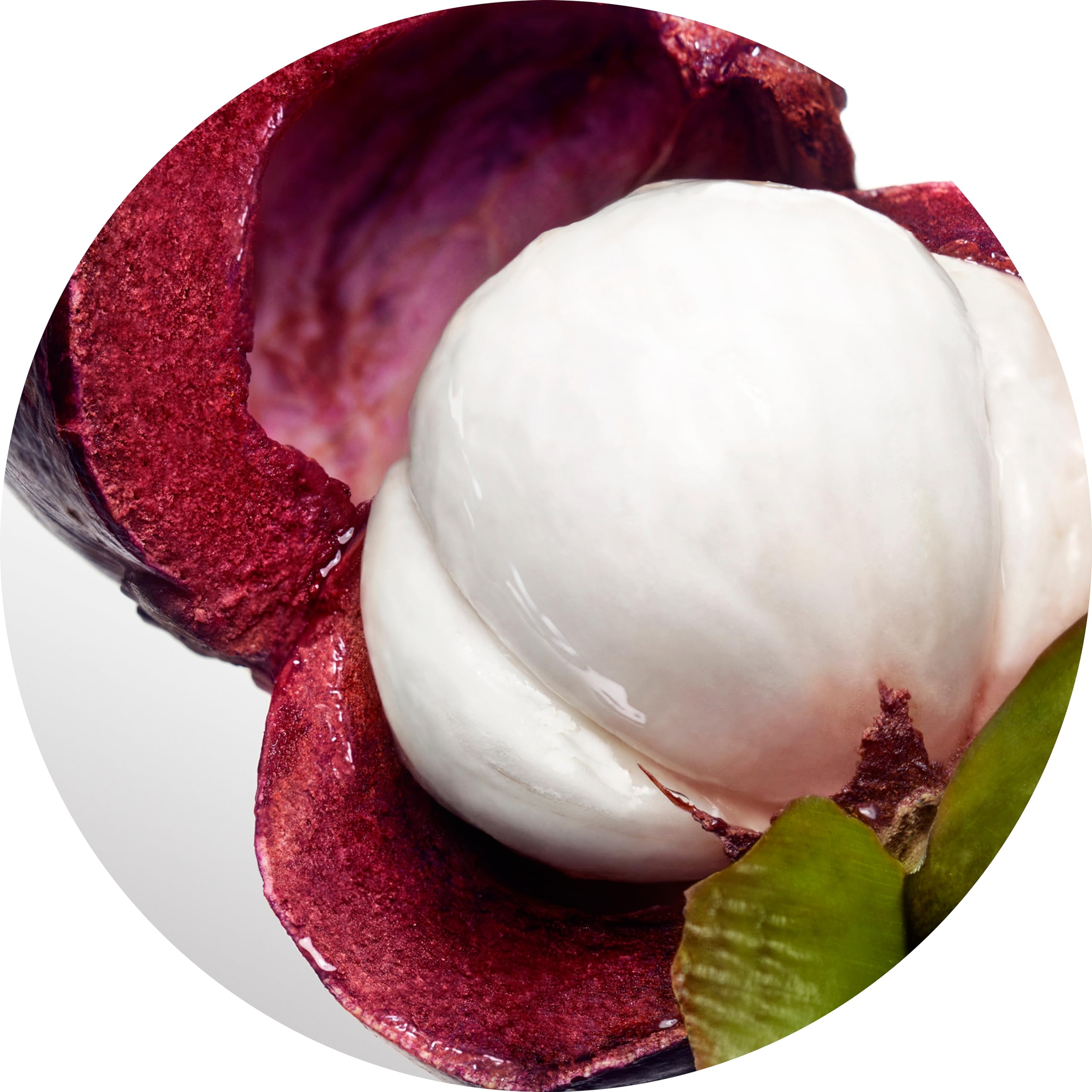 Davidoff Cool Water Fresh Floral With Notes of Watermelon Lily of the Valley