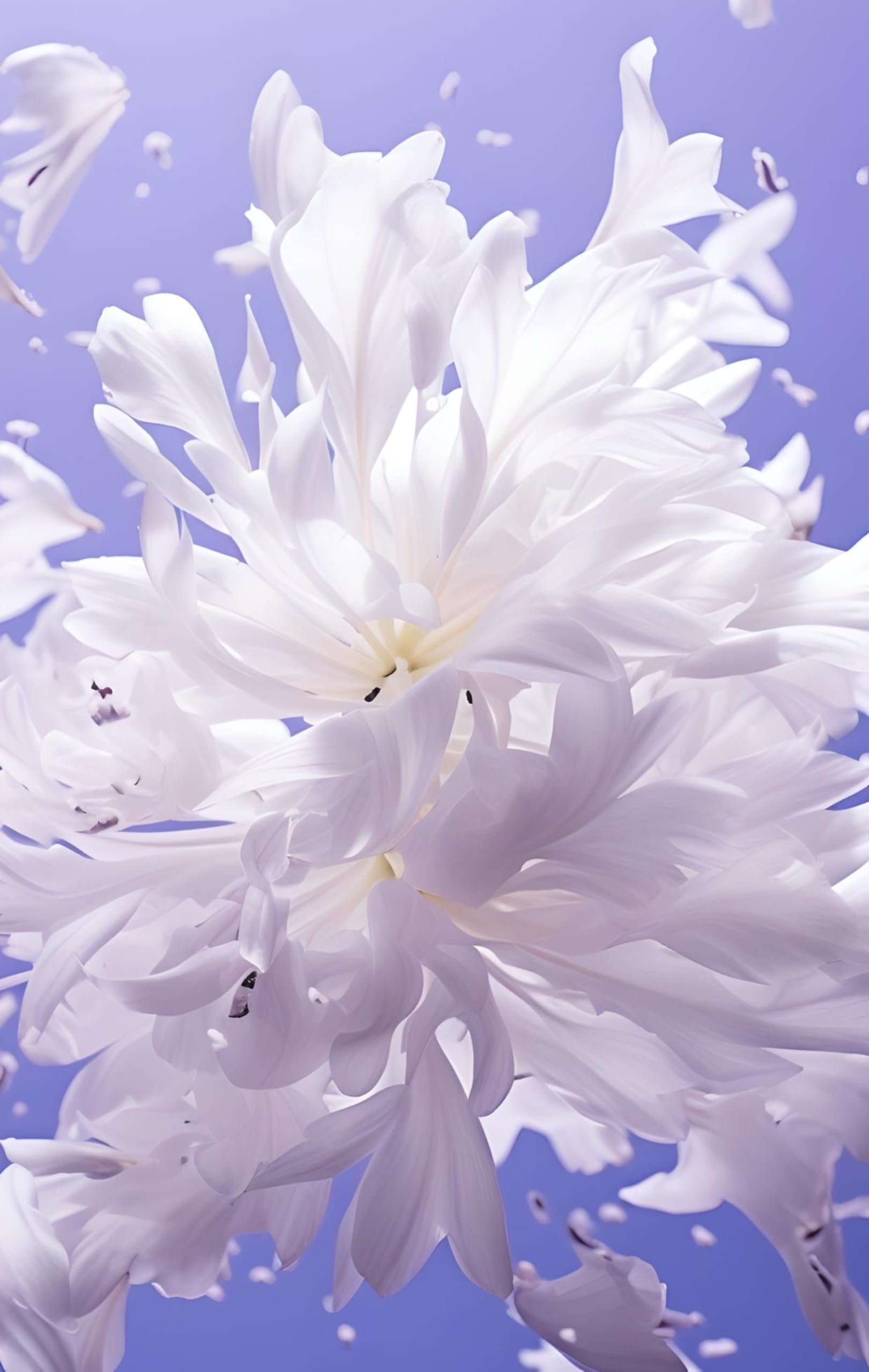 Roja Parfums Scandal Pour Femme For Women EDP 75 ml