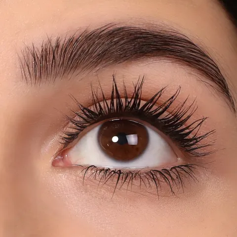(24-pack) Intense Volume and Lengthening Mascara (001, Blackest Black)