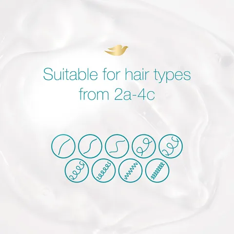 Amplified Textures Hydrating Cleanse Shampoo 11.5 Fl Oz Dove 340 ml