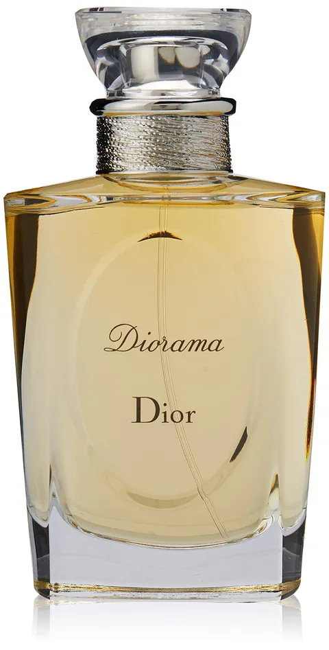 Christian Dior Diorama