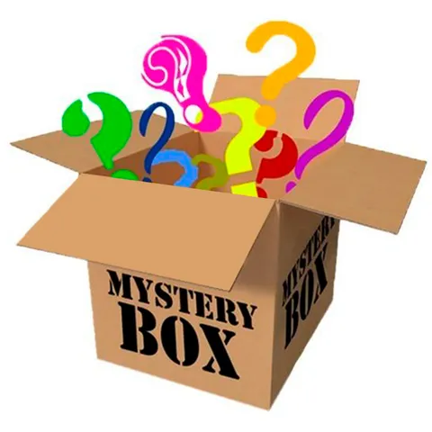 (325-pack) Assorted Brands Mystery Box