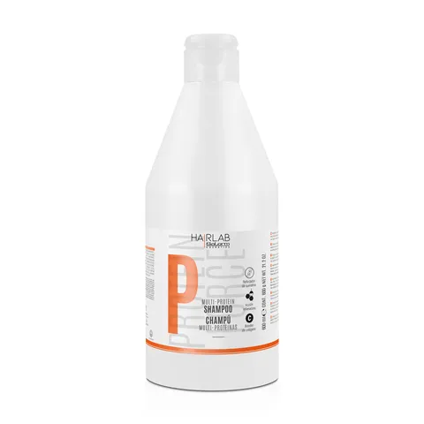 Salerm Fortifying Shampoo Multi Protein Hair Lab Shampoo Helps Nourish and