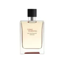 Hermes Terre 3.4 M Intense Tst France Tester