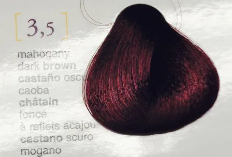 Salerm Salermvison Hair Coloring Cream #3.5 Dark Chestnut Mahogany /