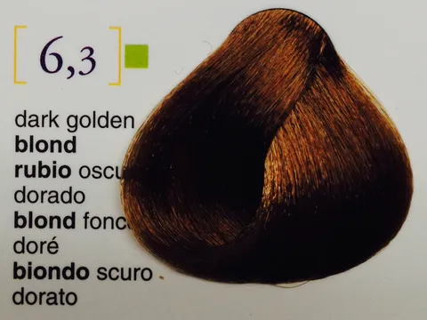 Salerm Salermvison Hair Coloring Cream #6.3 Dark Golden Blonde