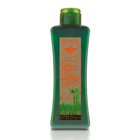 Salerm Biokera Natura Treated Hair Shampoo With Macadamia Oil and Red Berry