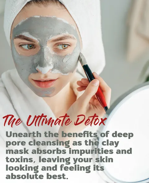 Aztec Secret Indian Healing Clay Deep Pore Cleansing Facial Body Mask the
