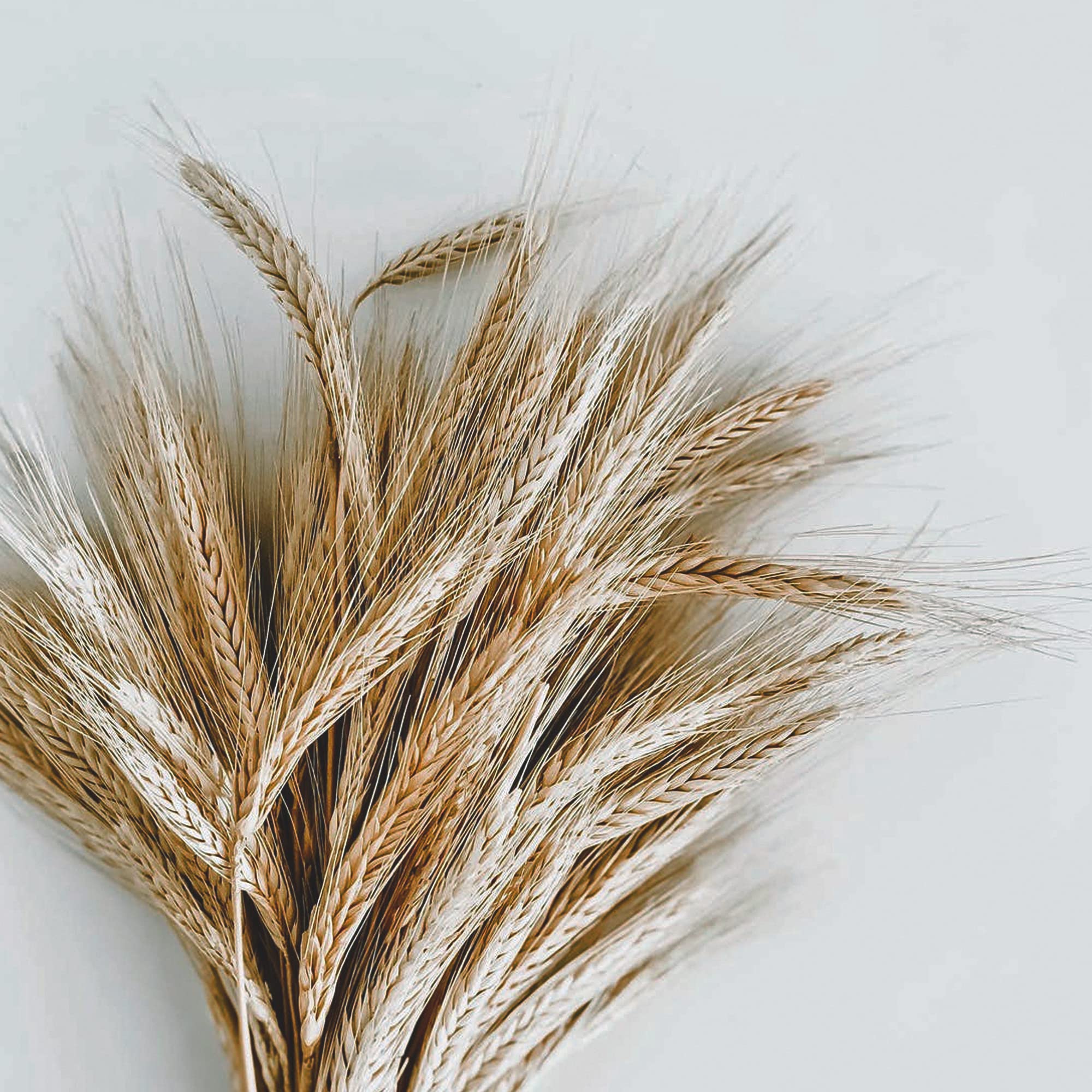 Eco Style Krystal Styling Gel Adds Body and Shine To All Styles Moisturizes and - Thumbnail 3