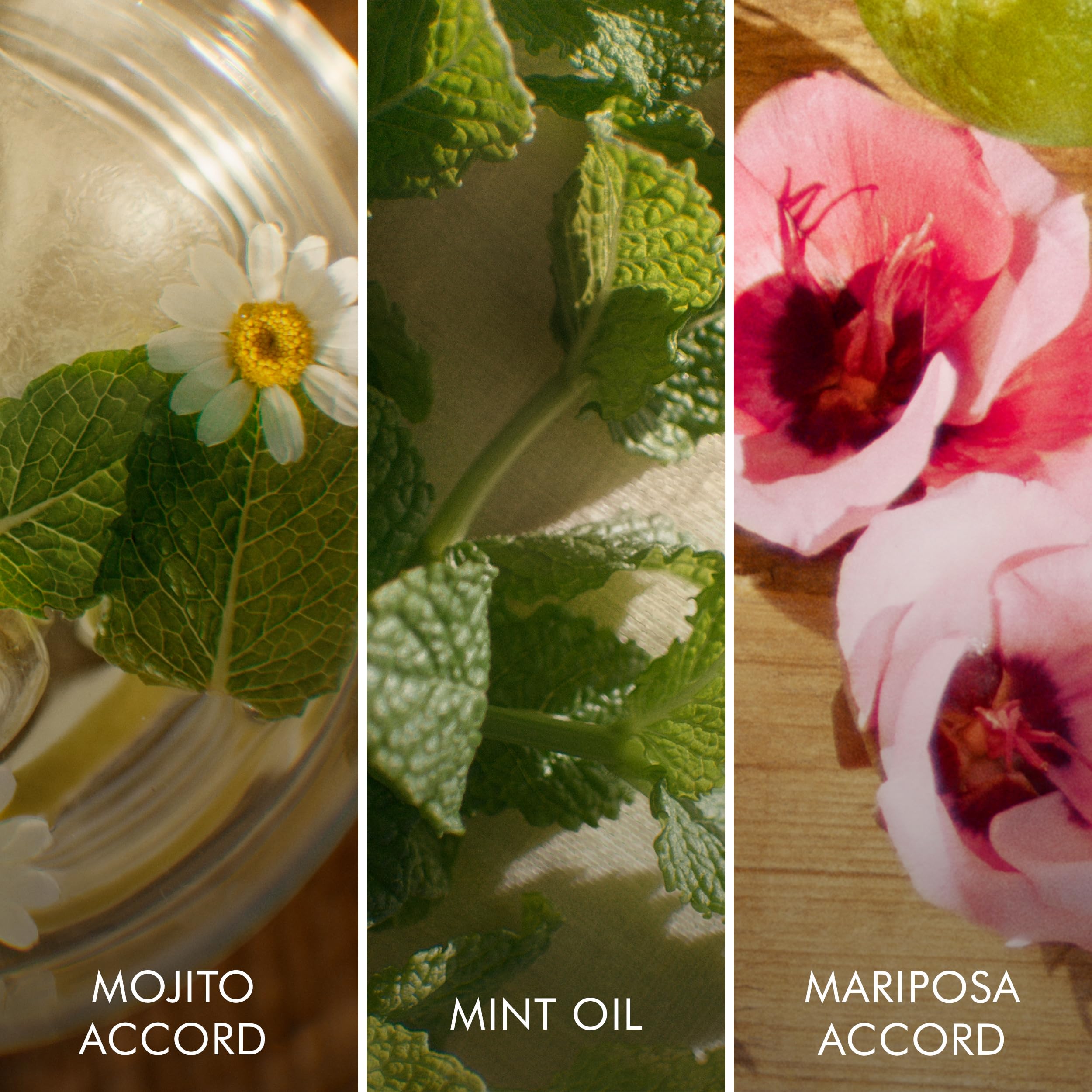 Escada Brisa Cubana 3.4 L France 20pcs Bybox EDT - Thumbnail 3