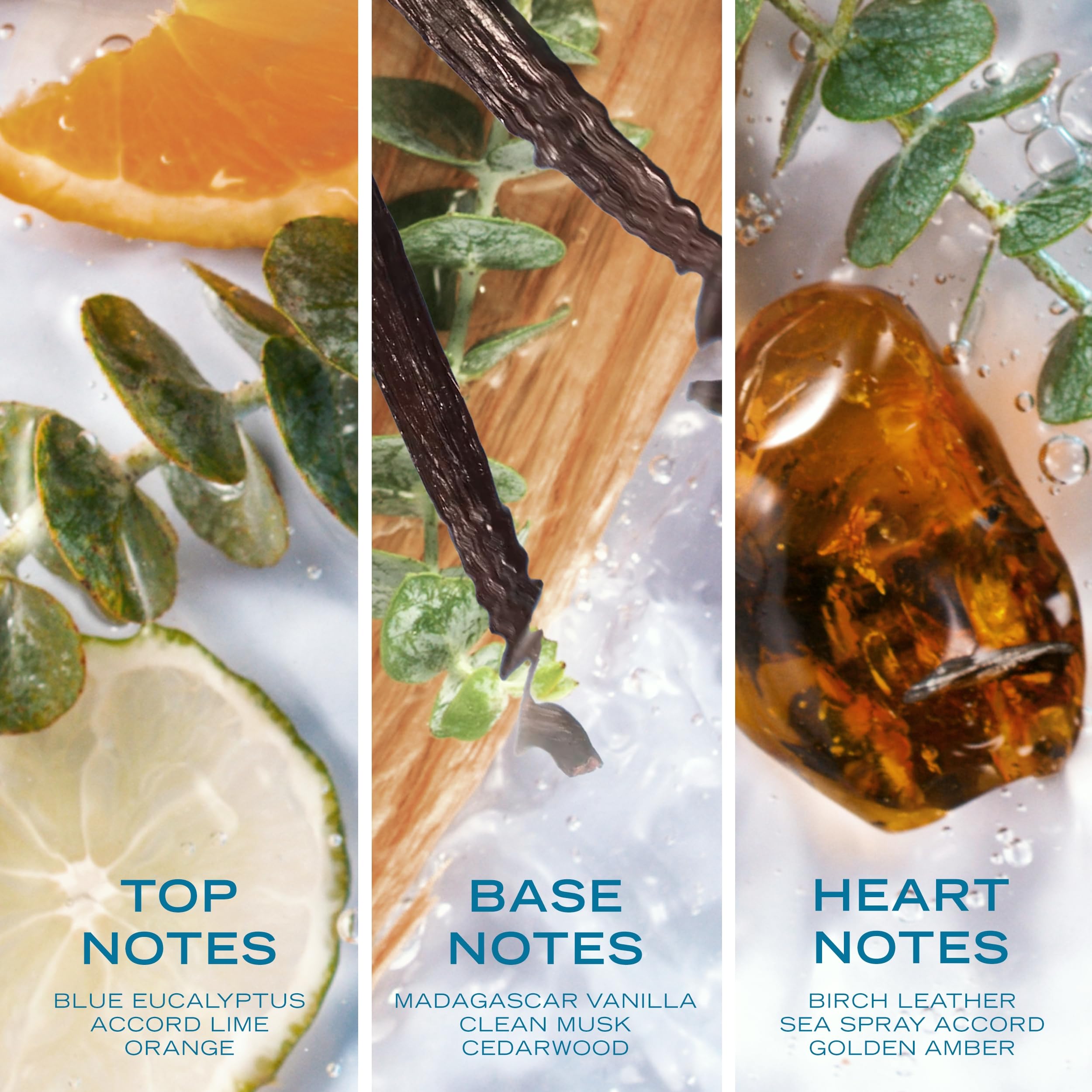 Nautica Pure Blue 3.3 Fl Oz Notes of Eucalyptus Leather and Vanilla Everyday - Thumbnail 3