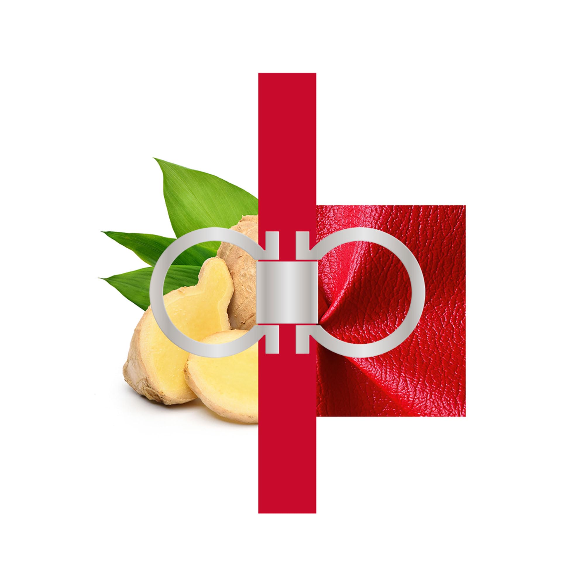 Ferragamo Red Leather 3.4 M Italy 12pcs Bybox EDP - Thumbnail 2