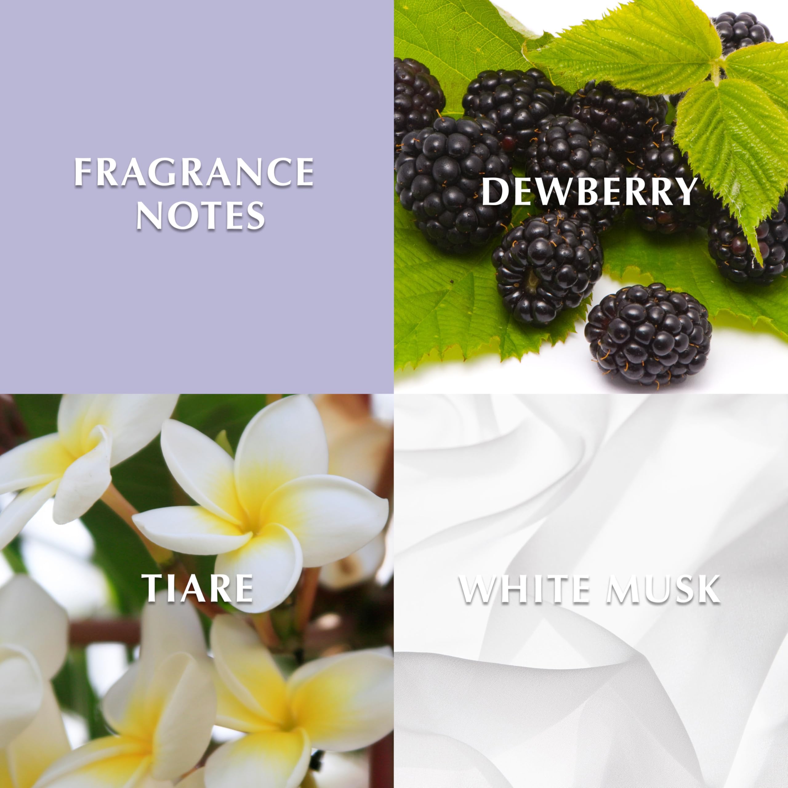 Elizabeth Taylor Forever For Women EDP 3.3 oz - Thumbnail 2