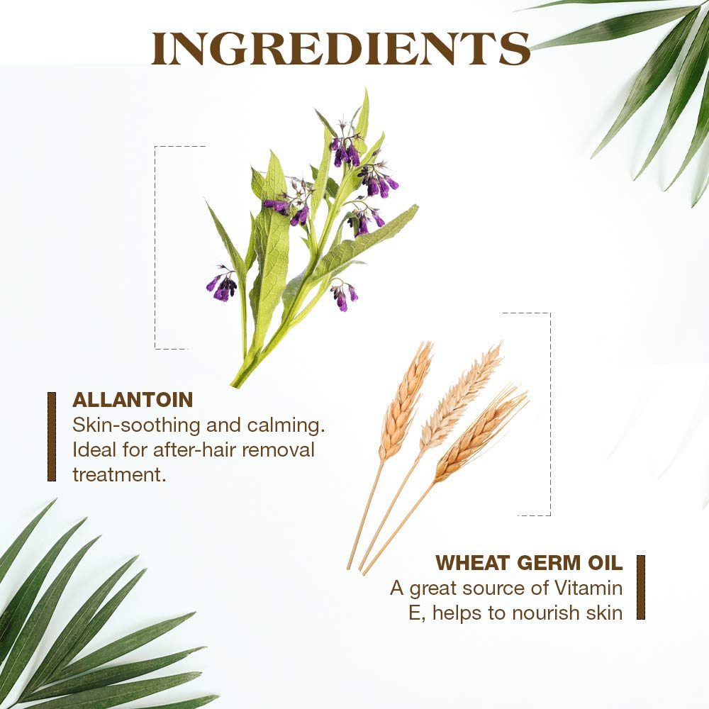 Gigi Hair Removal Wax Strips for Body Pre Waxed With Gigi All Purpose Honee - Thumbnail 3