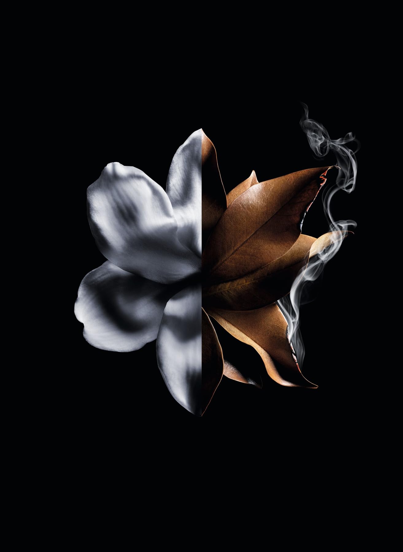 Linterdit Absolu Intense By Givenchy For Women EDP 2.7 oz - Thumbnail 3