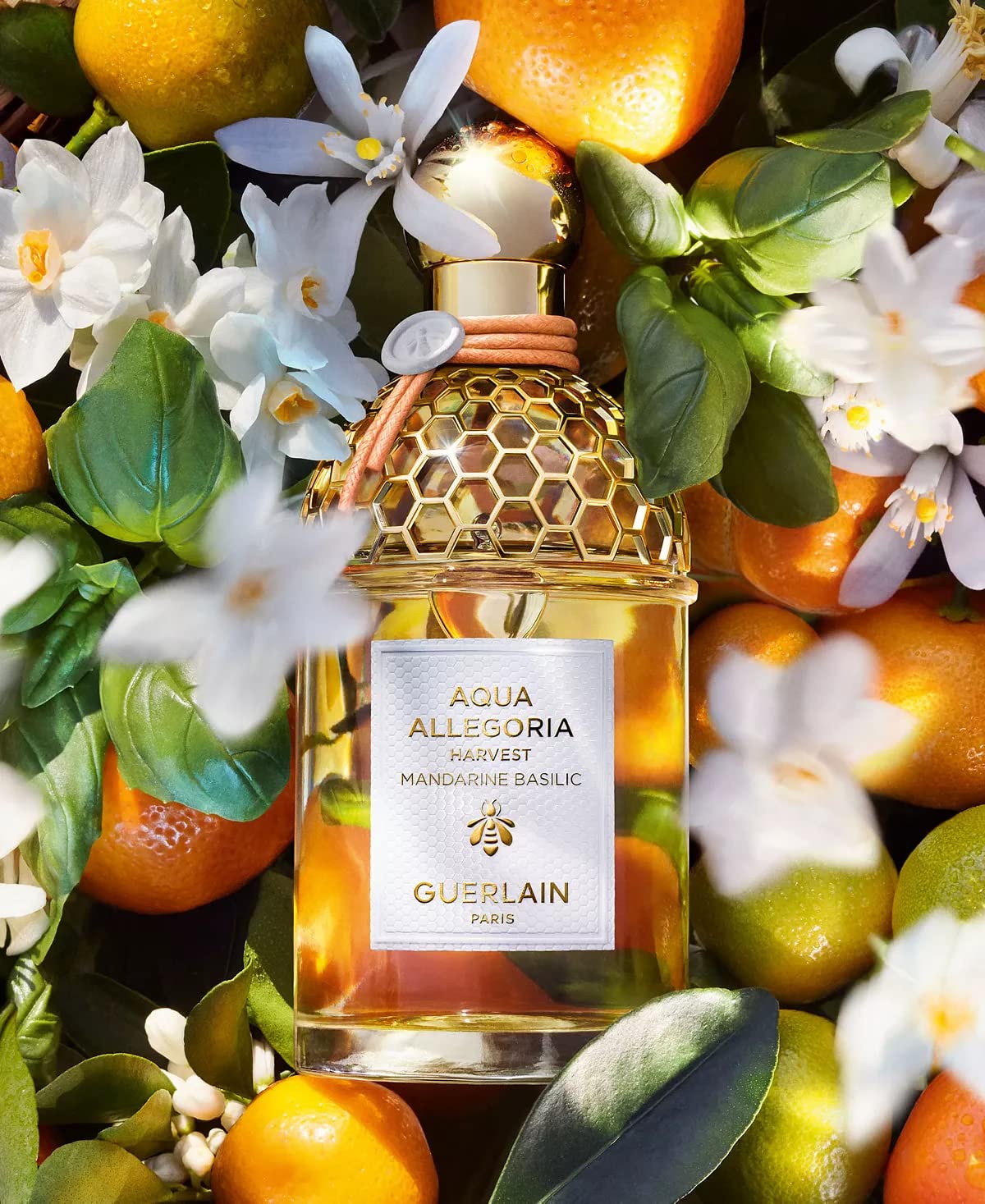 Guerlain Aqua Allegoria Harvest Mandarine Basilic For Women EDT 4.2 oz