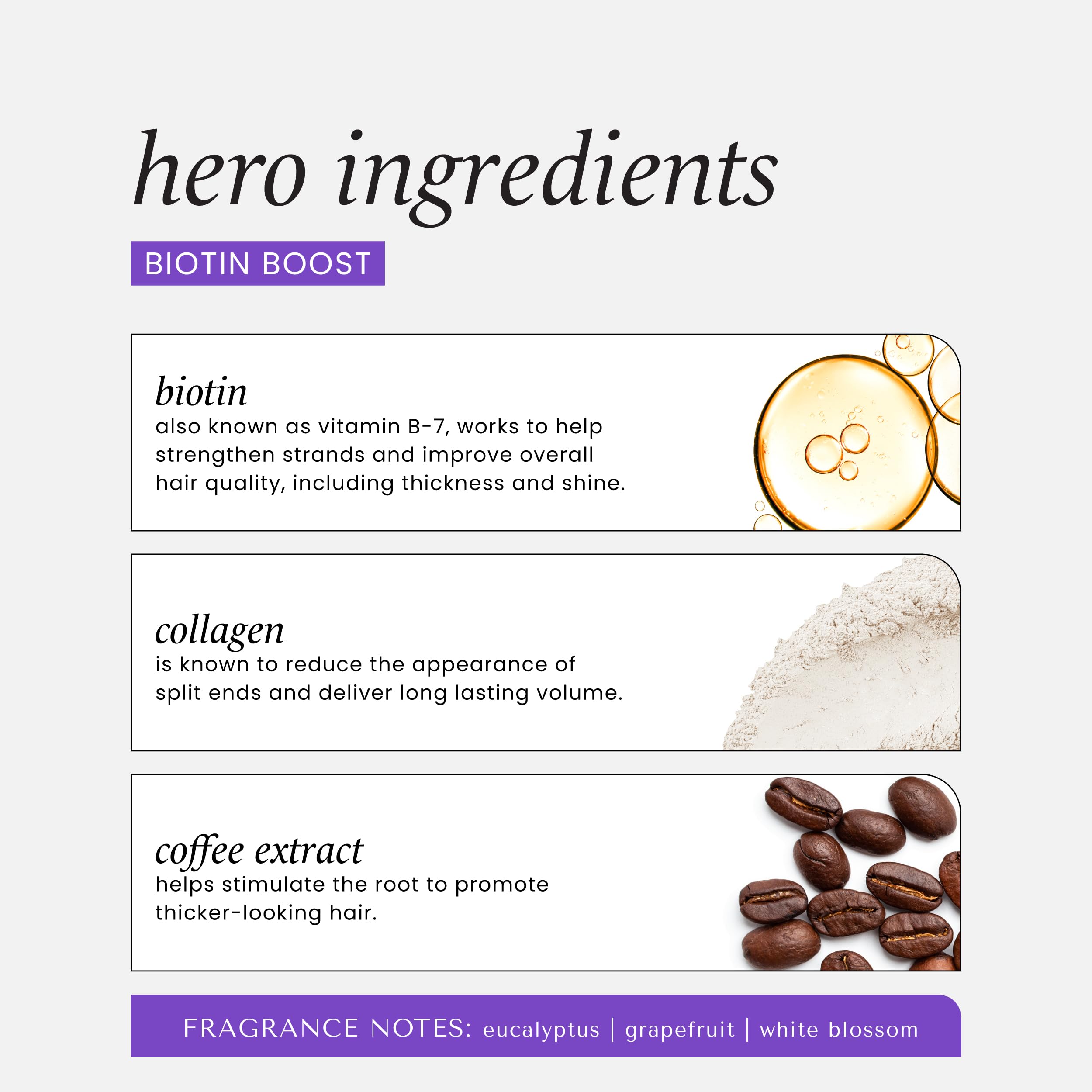 Hask Biotin Boost Thickening Shampoo 12 Fl Oz - Thumbnail 3