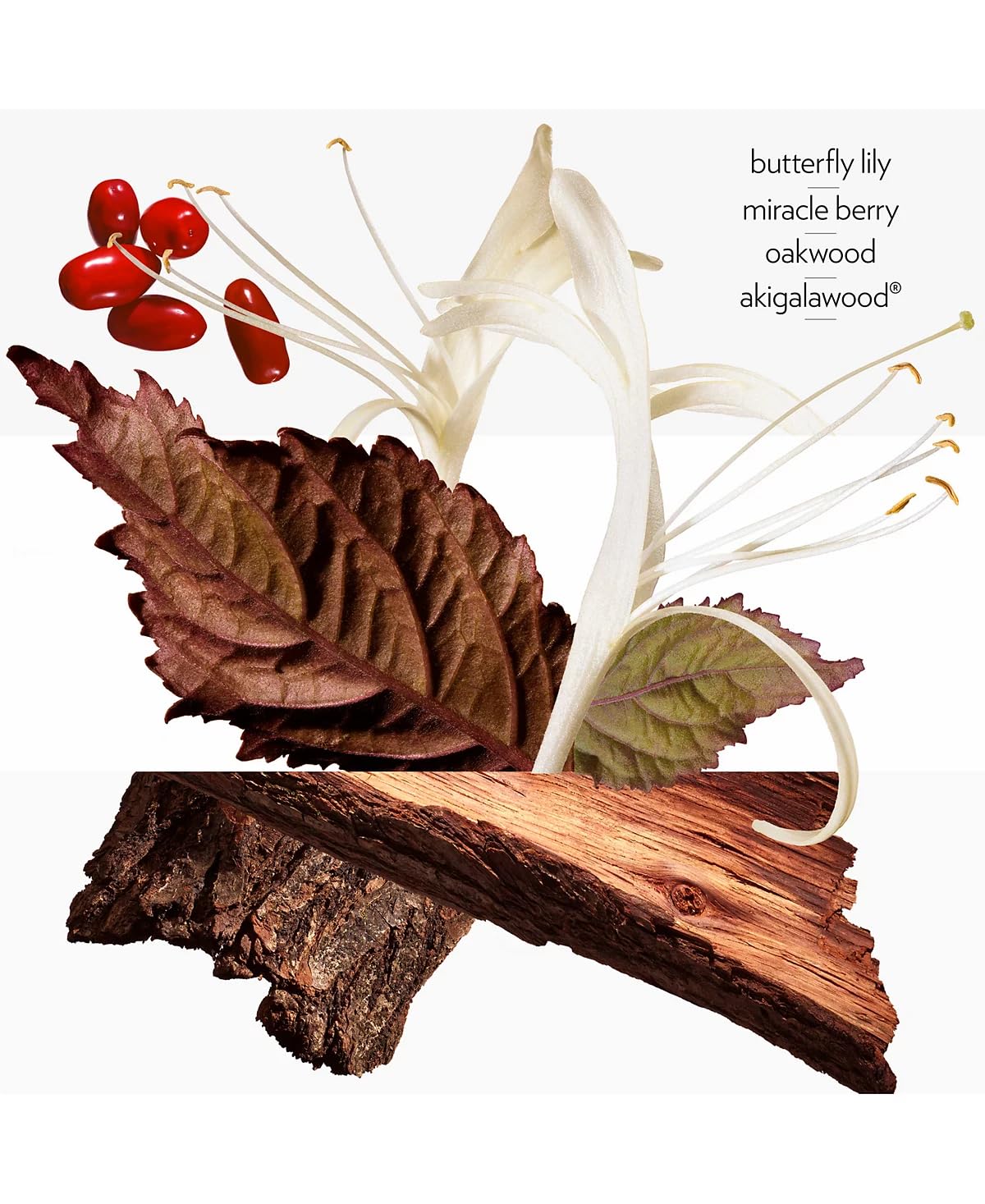 Hermes Barenia Perfumed Body Cream For Women 6.5 oz - Thumbnail 3