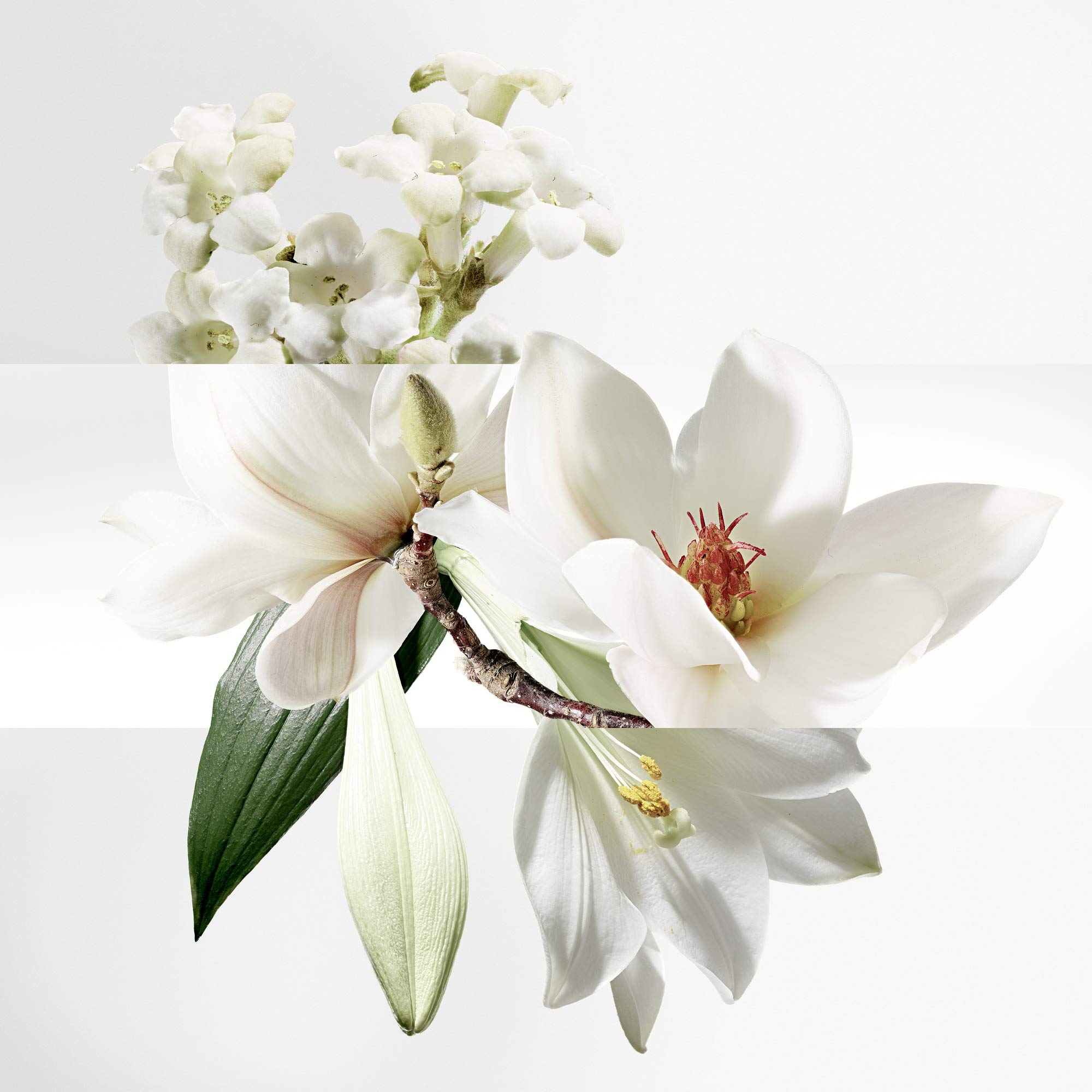 Un Jardin Sur la Lagune By Hermes For Women EDT 3.3 oz - Thumbnail 3