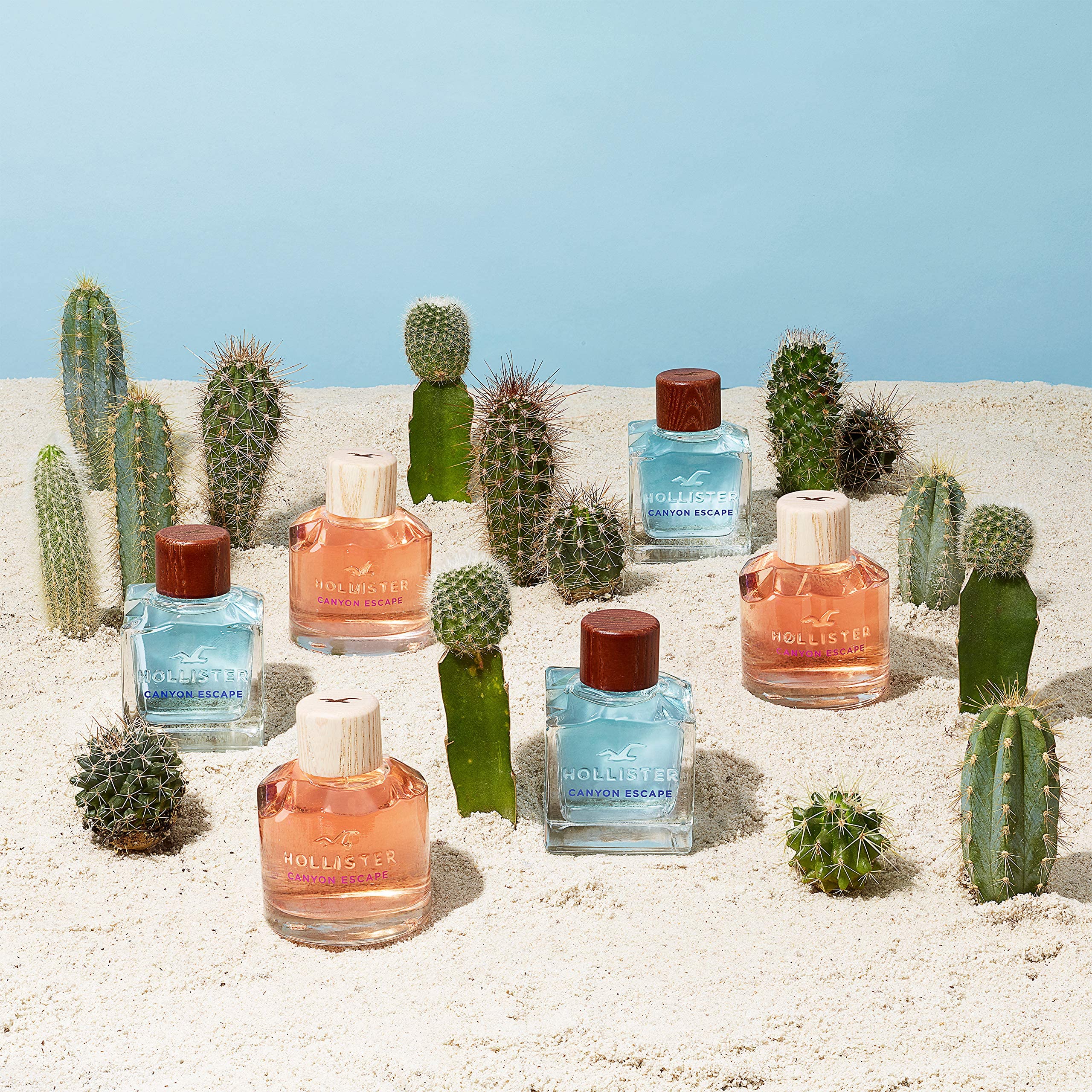 Hollister Canyon Escape Women EDP 3.4 Oz - Thumbnail 3