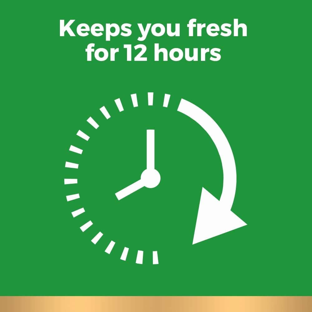 Irish Spring Icyblast Cool Refreshment Deodorant Soap Unisex Soap 8 Count Unisex - Thumbnail 3