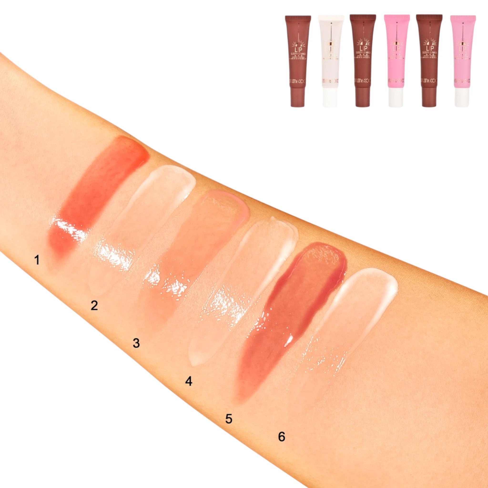 (24-pack) Kevin & Coco Day-To-Night Lip Set - Thumbnail 3