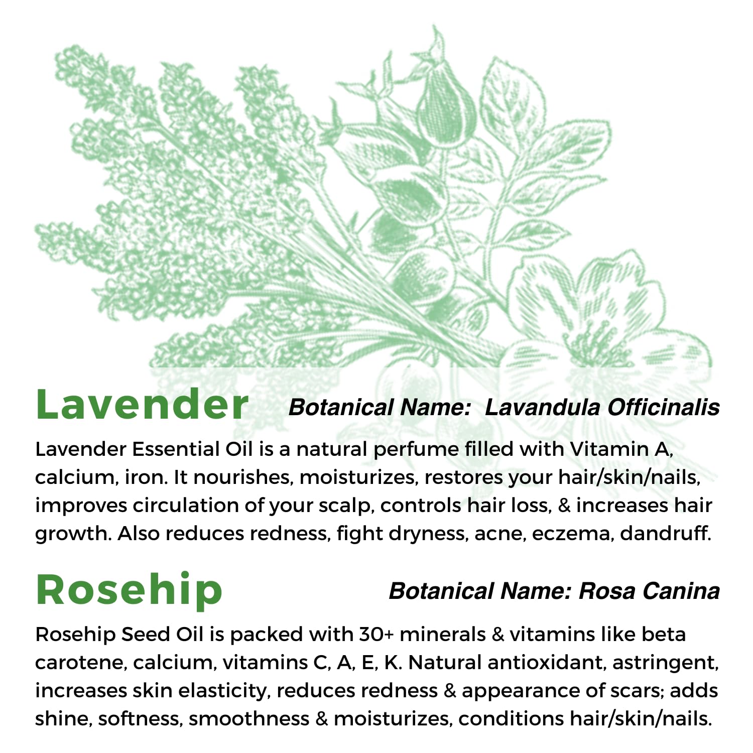 Multiuse Lavender + Rosehip Oil Medley for Face Body and Hair Natural Rosehip - Thumbnail 2