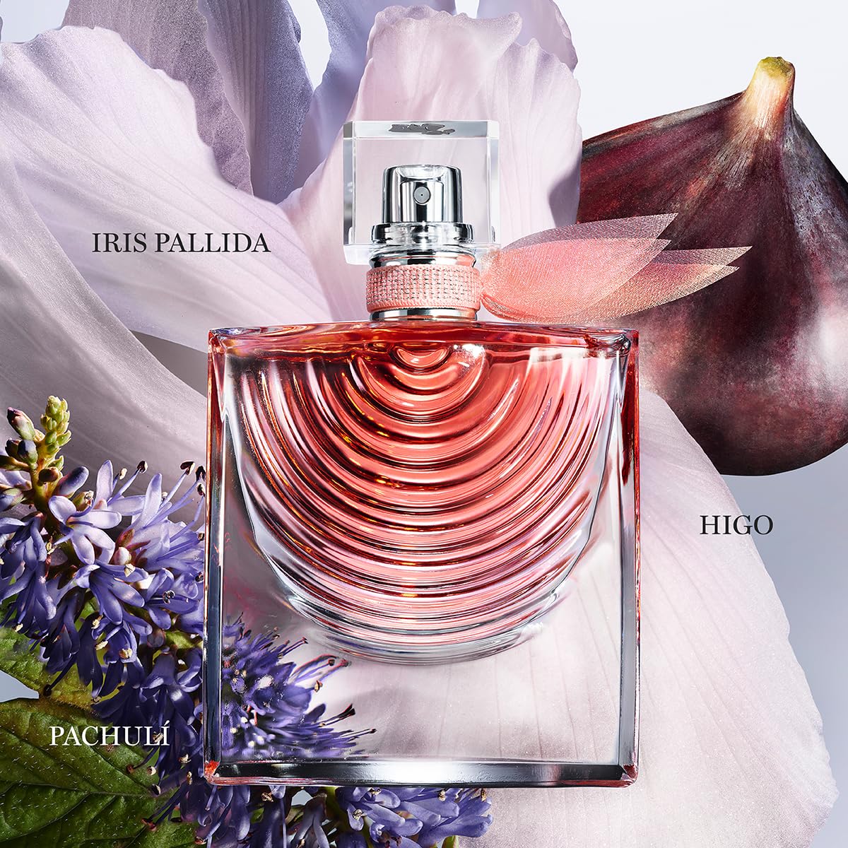 Lancôme​ la Vie Est Belle Iris Absolu Warm and Spicy With Notes of Iris Jasmine - Thumbnail 2