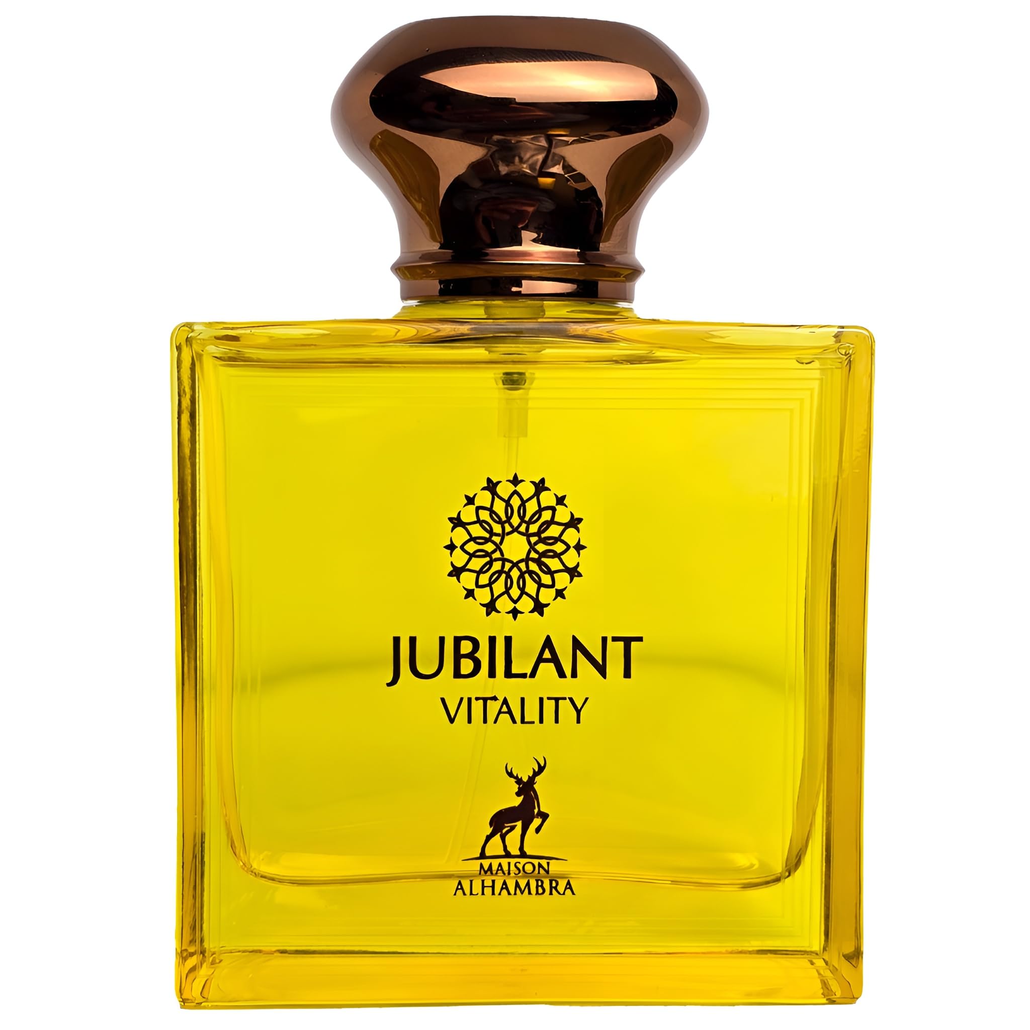 Maison Alhambra Jubilant Vitality Citrus Spicy Green Amber Long Lasting for