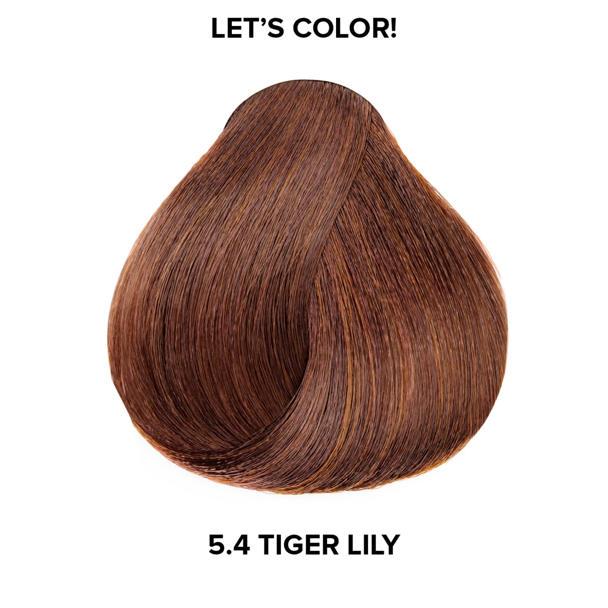 L'oreal Technique Let's Color Conditioning Gelee Permanent Hair Color High - Thumbnail 2