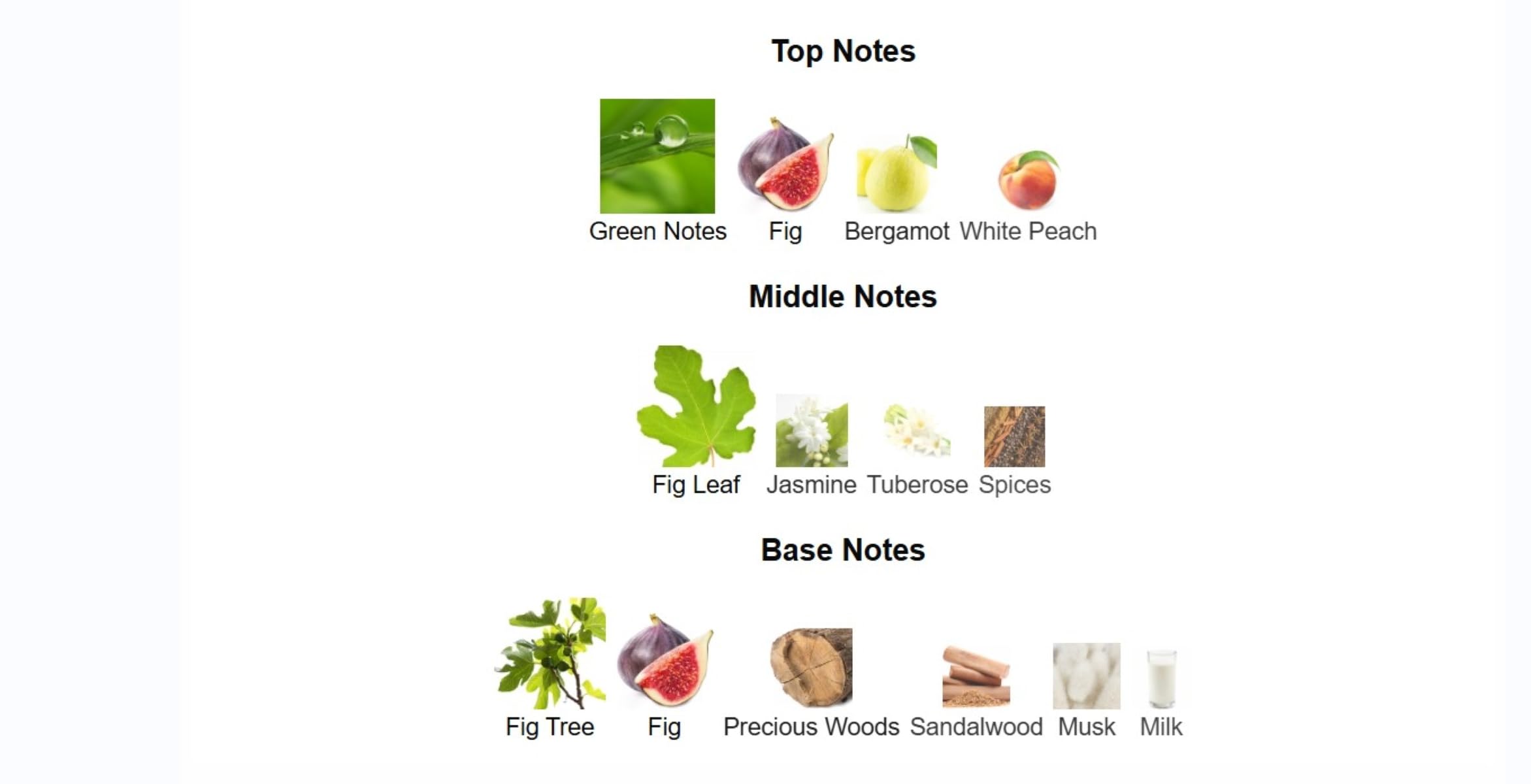 Lorenzo Pazzaglia Adam Eve's Dress Extrait de Parfum for Unisex Unisex 1.7 oz