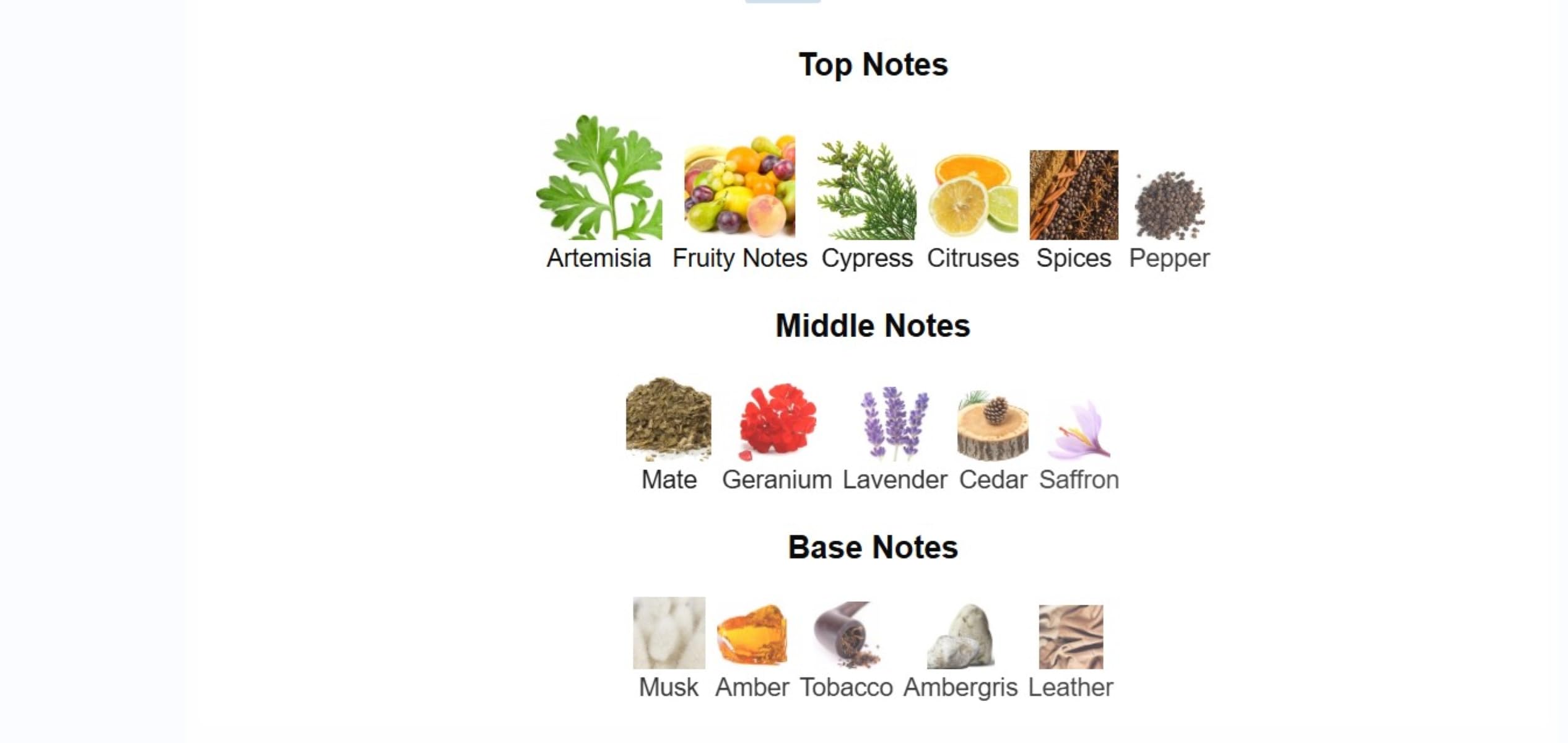 Lorenzo Pazzaglia Esco Pazzo Extrait de Parfum for Unisex Unisex 1.7 oz