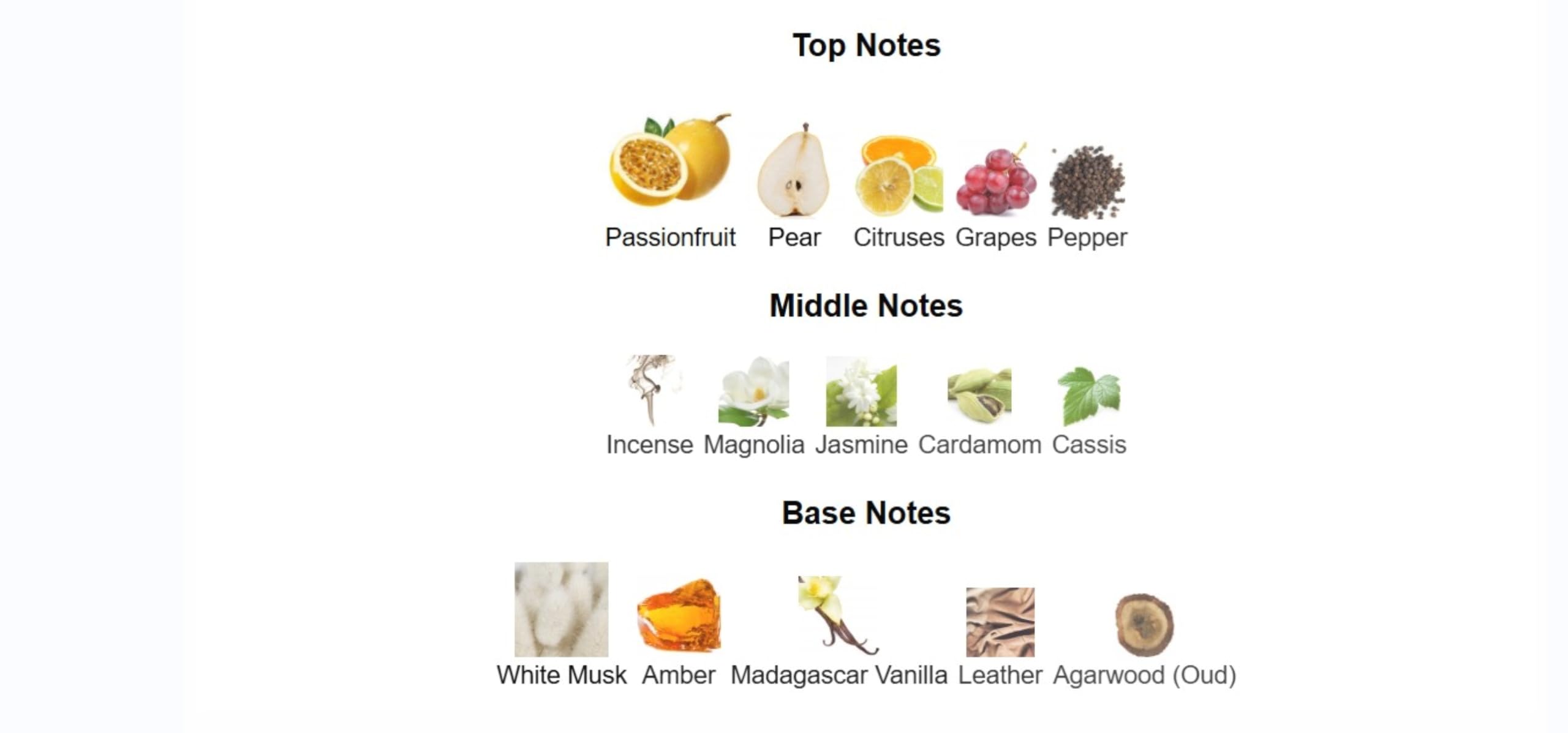 Lorenzo Pazzaglia Pax Extrait de Parfum for Unisex Unisex 1.7 oz